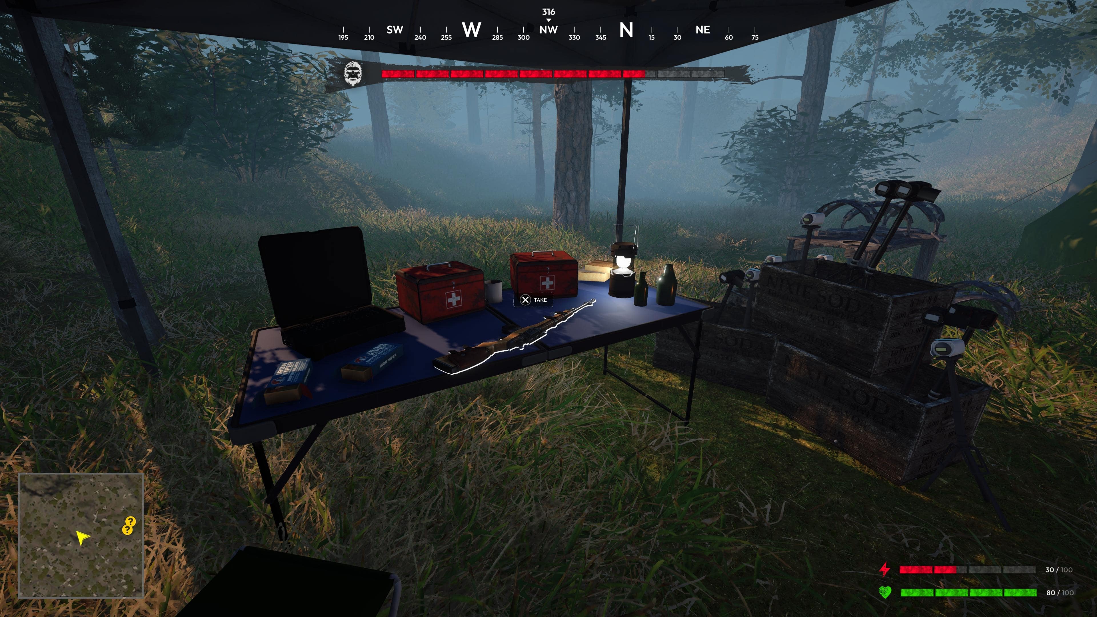 Bigfoot Hunting