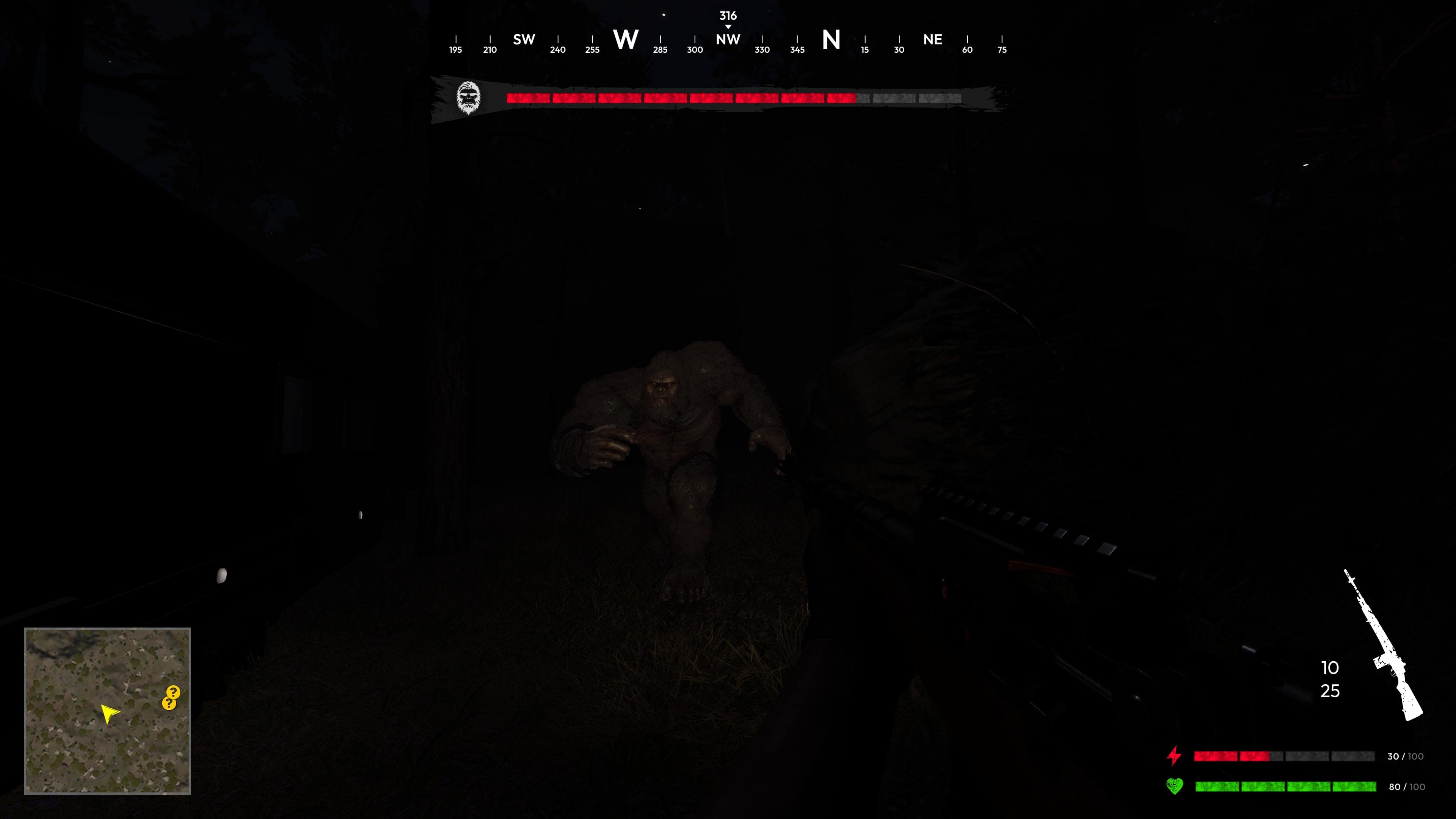 Bigfoot Hunting