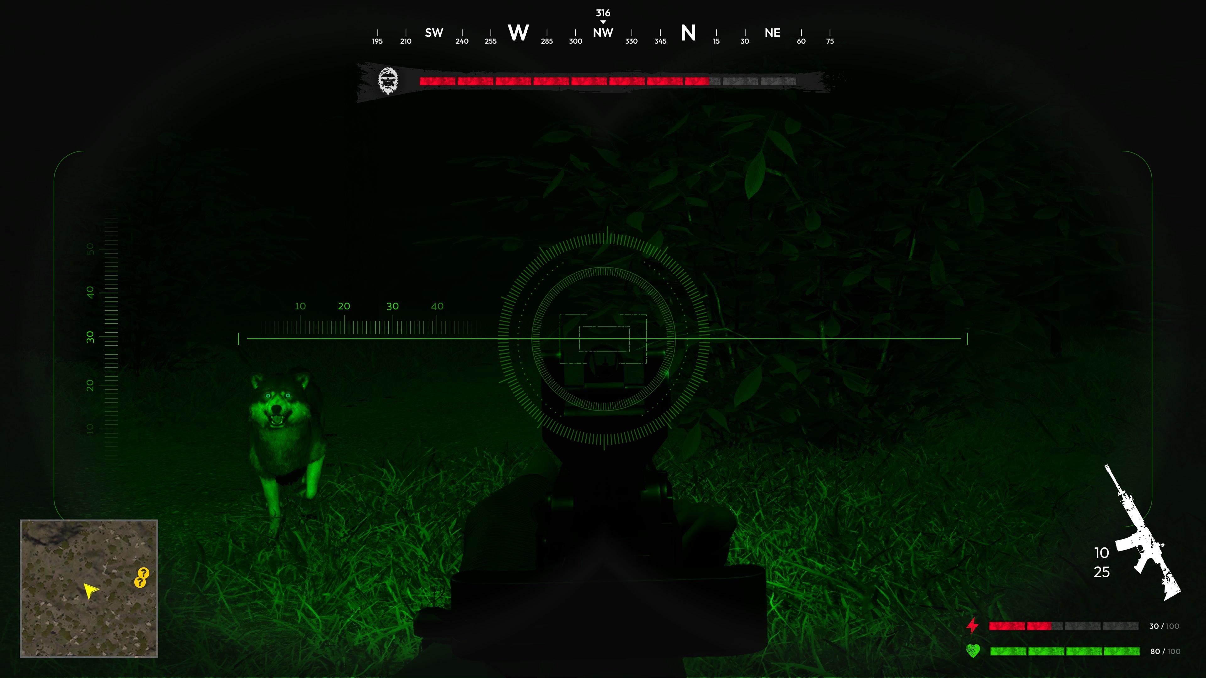 Bigfoot Hunting