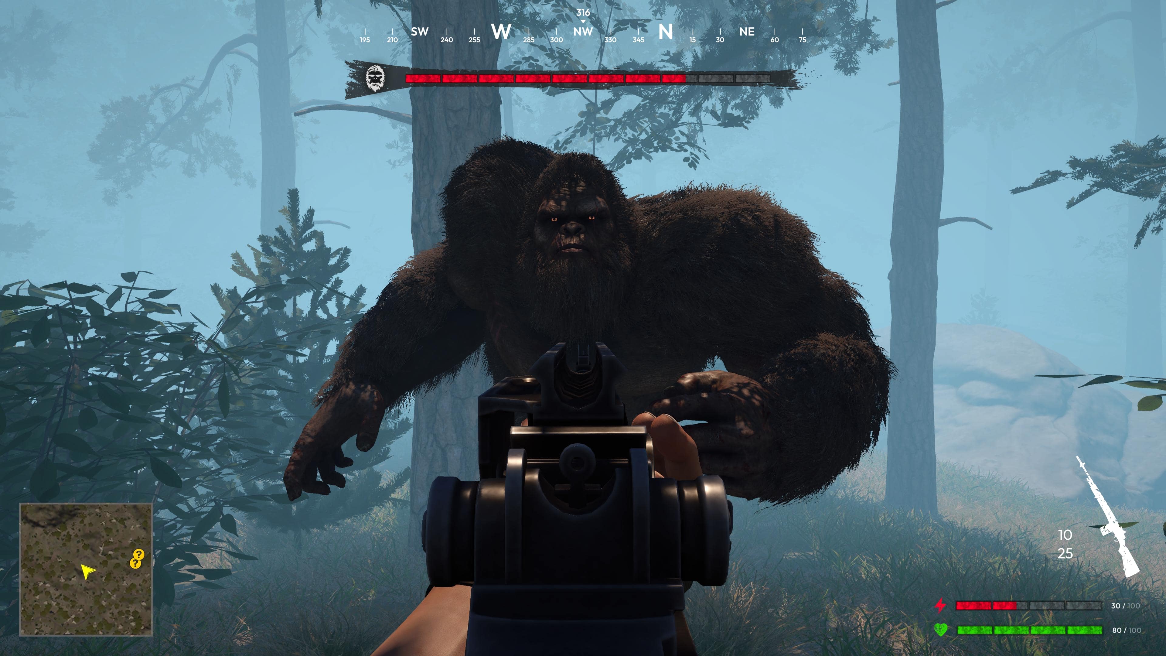 Bigfoot Hunting