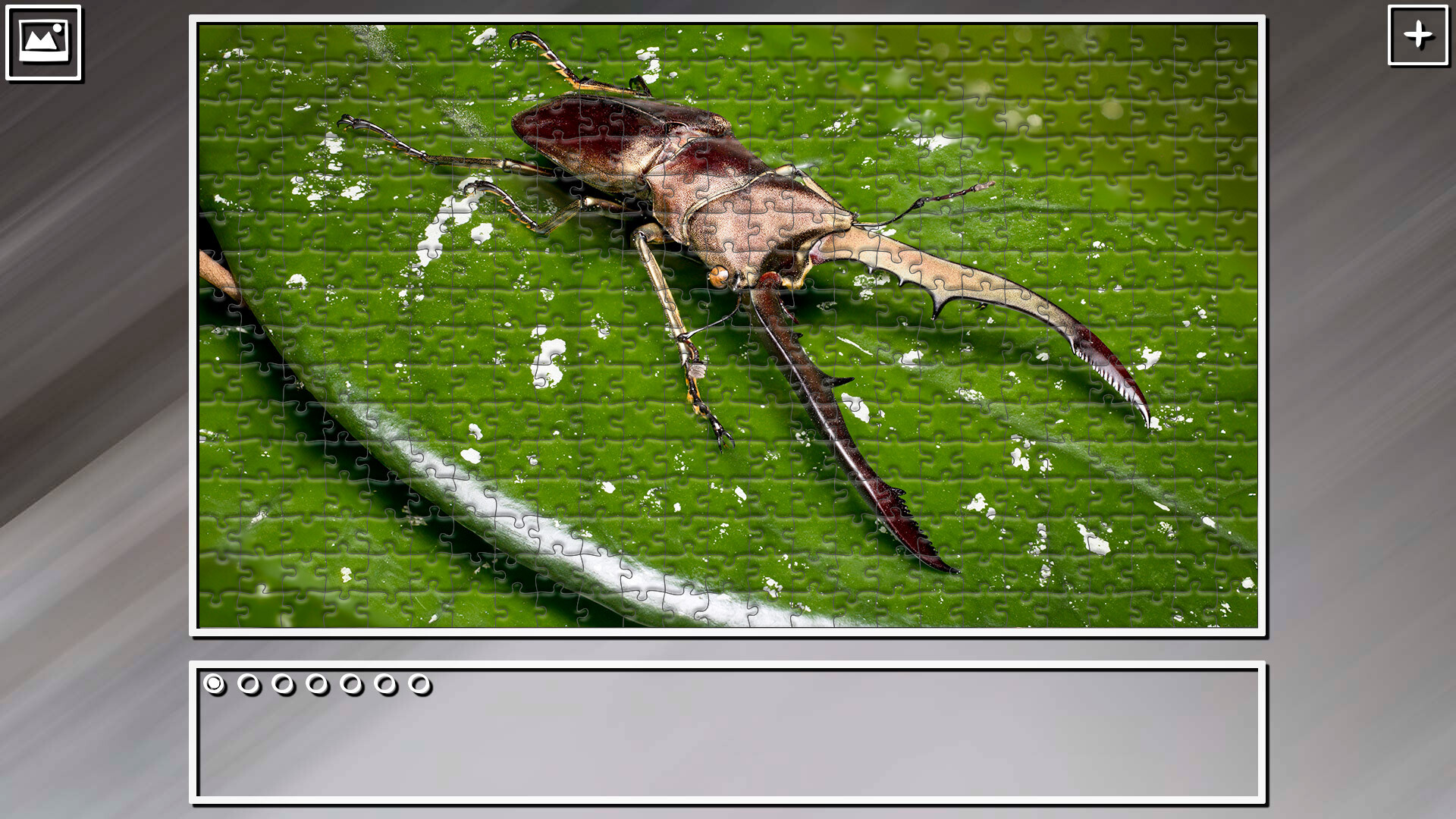 Super Jigsaw Puzzle: Generations – Bugs 2