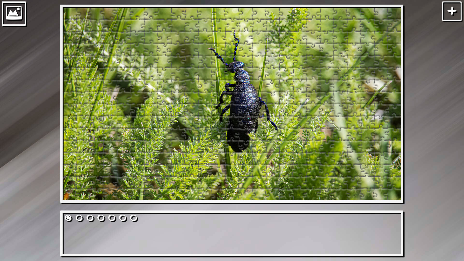 Super Jigsaw Puzzle: Generations – Bugs 2