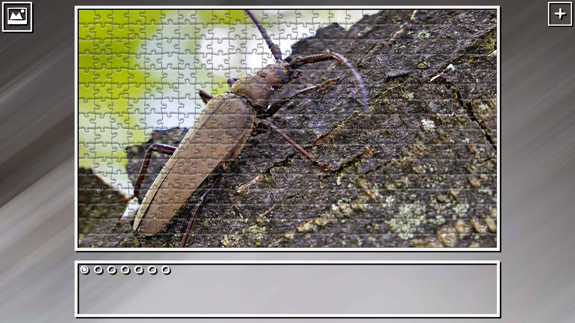 Super Jigsaw Puzzle: Generations – Bugs 2