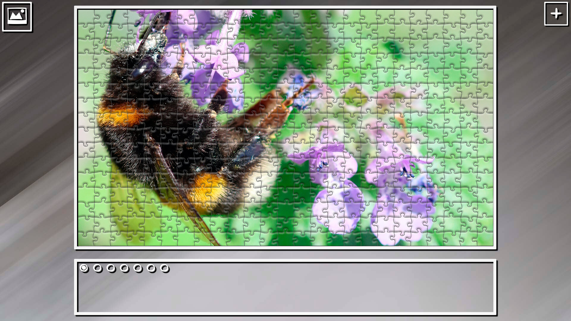 Super Jigsaw Puzzle: Generations – Bugs 2