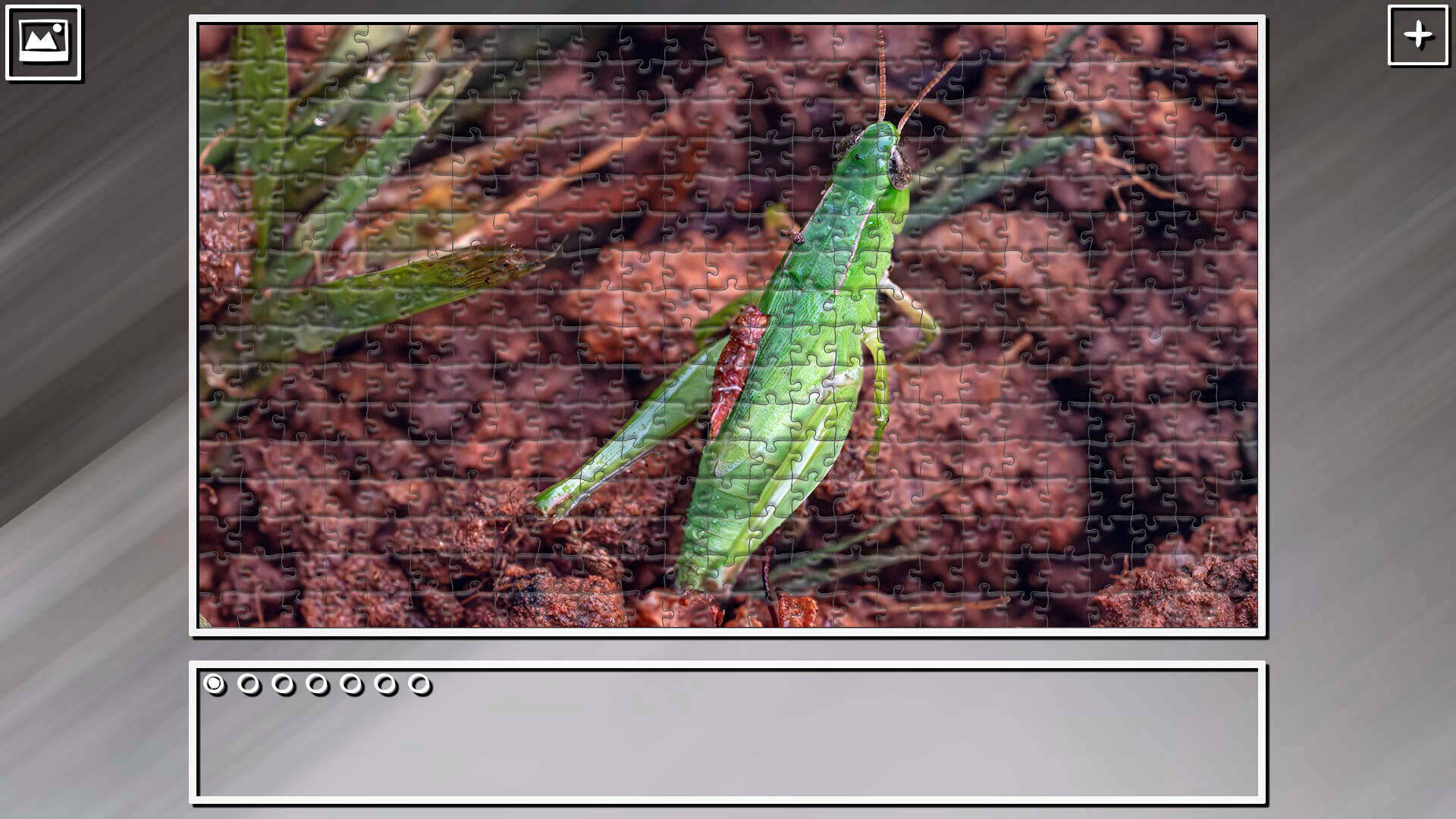 Super Jigsaw Puzzle: Generations – Bugs 2