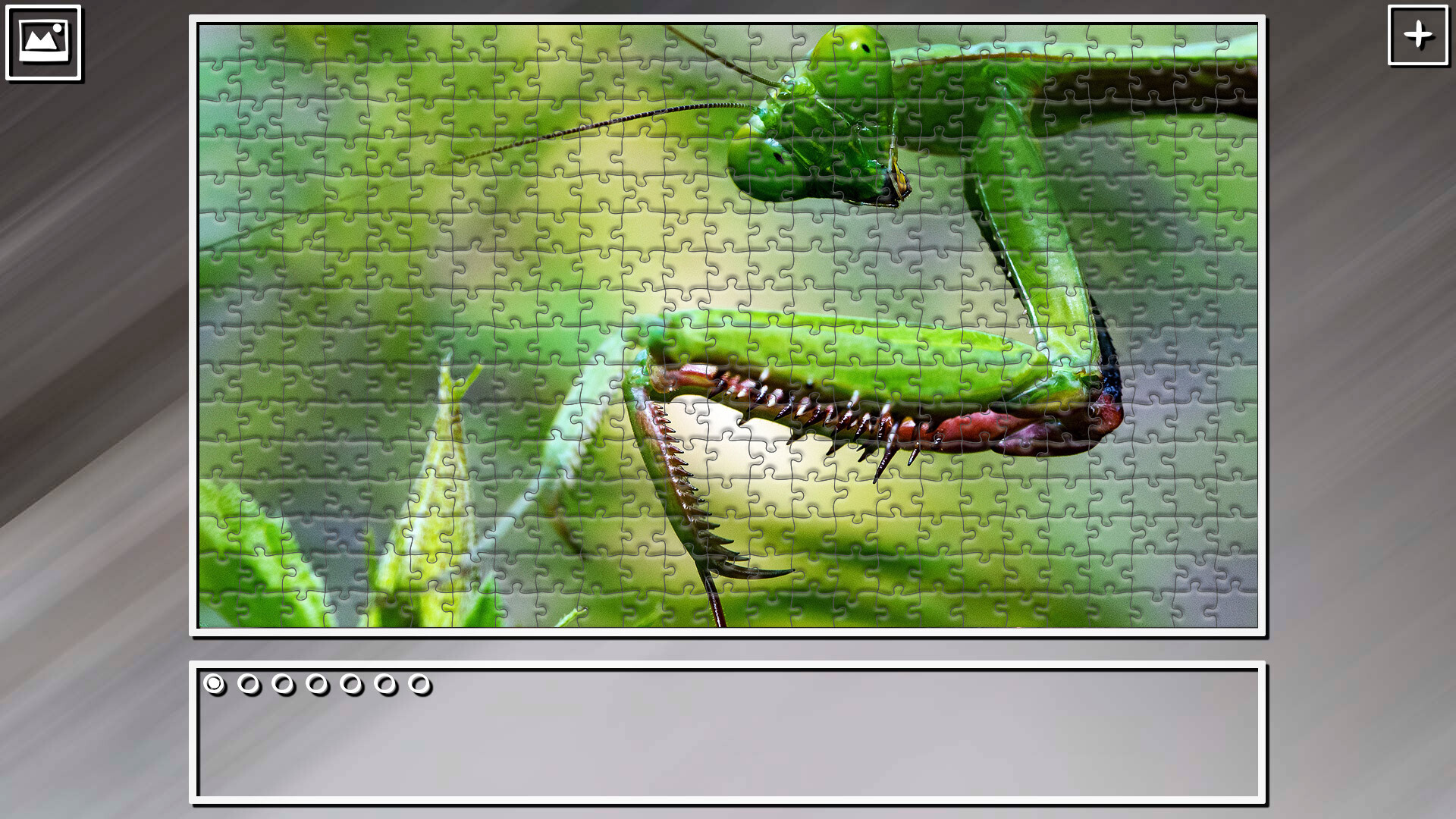Super Jigsaw Puzzle: Generations – Bugs 2