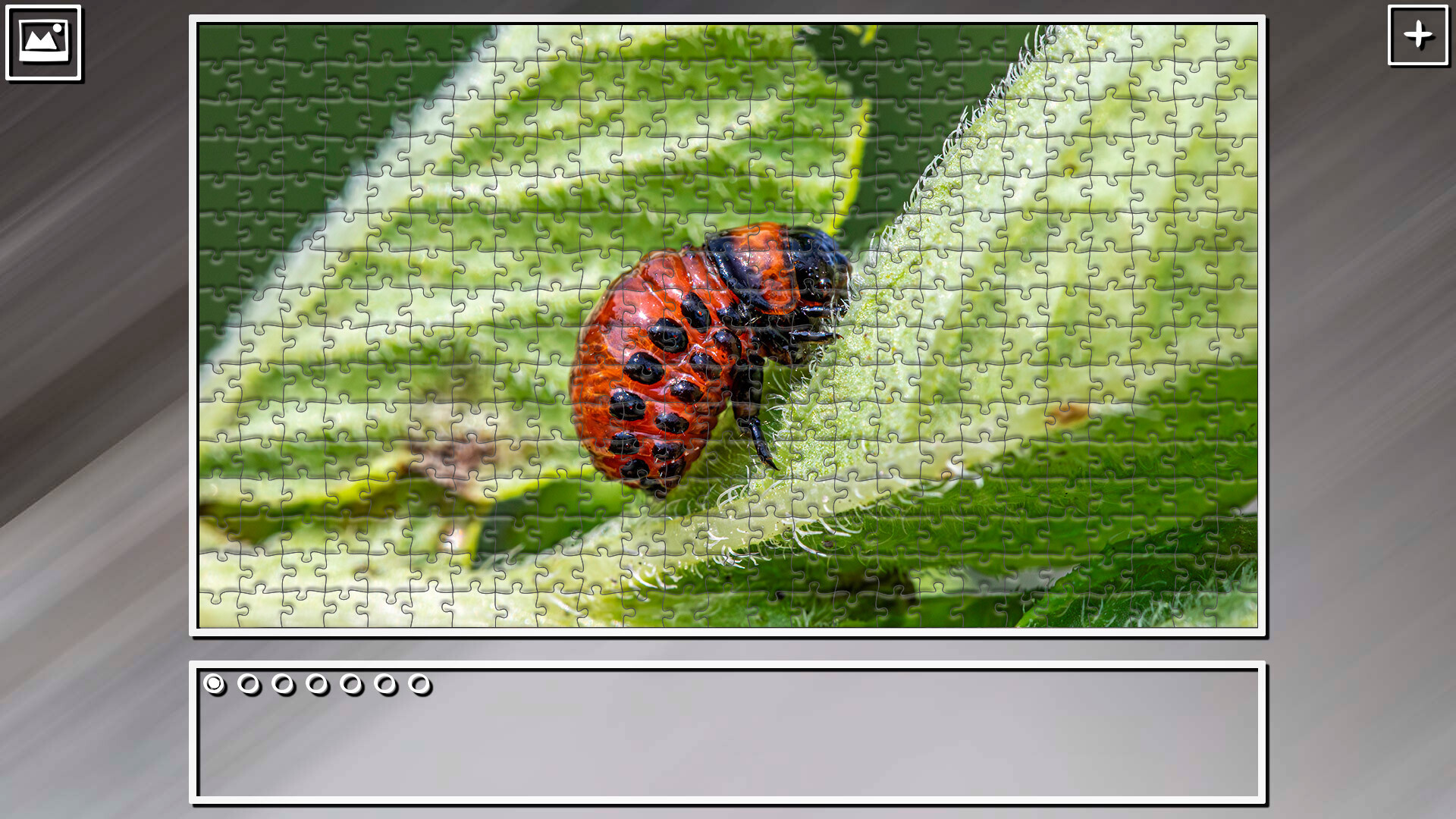 Super Jigsaw Puzzle: Generations – Bugs 2