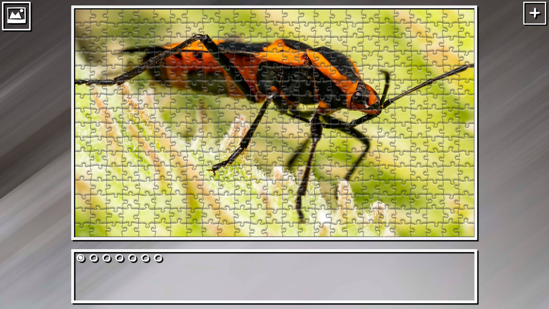 Super Jigsaw Puzzle: Generations – Bugs 2