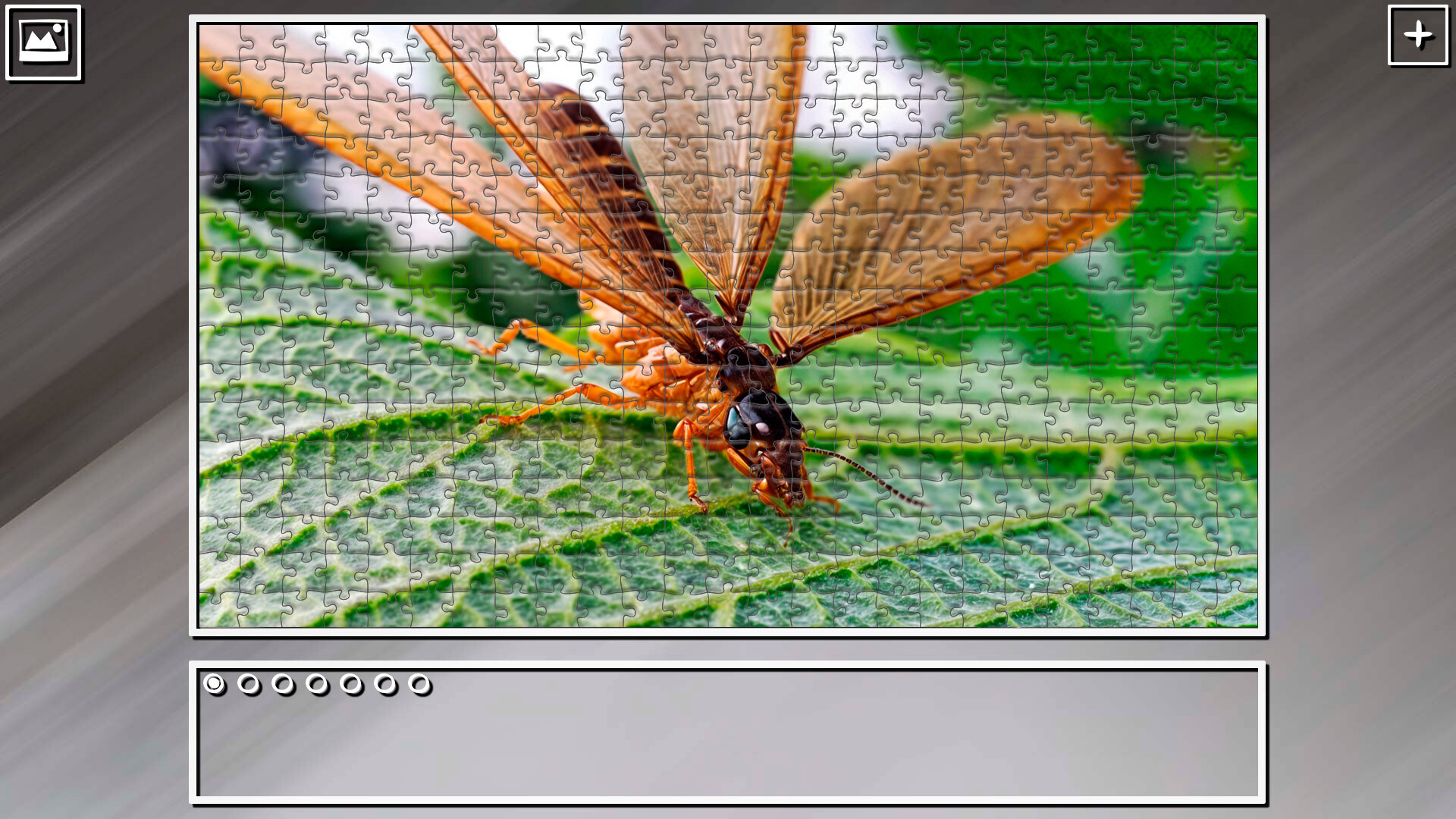 Super Jigsaw Puzzle: Generations – Bugs 2