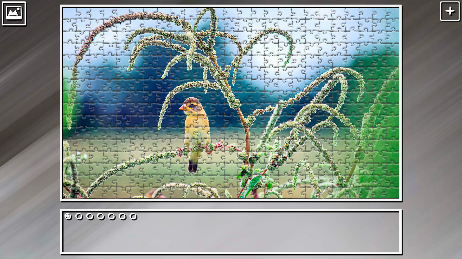 Super Jigsaw Puzzle: Generations – Random Animals 5