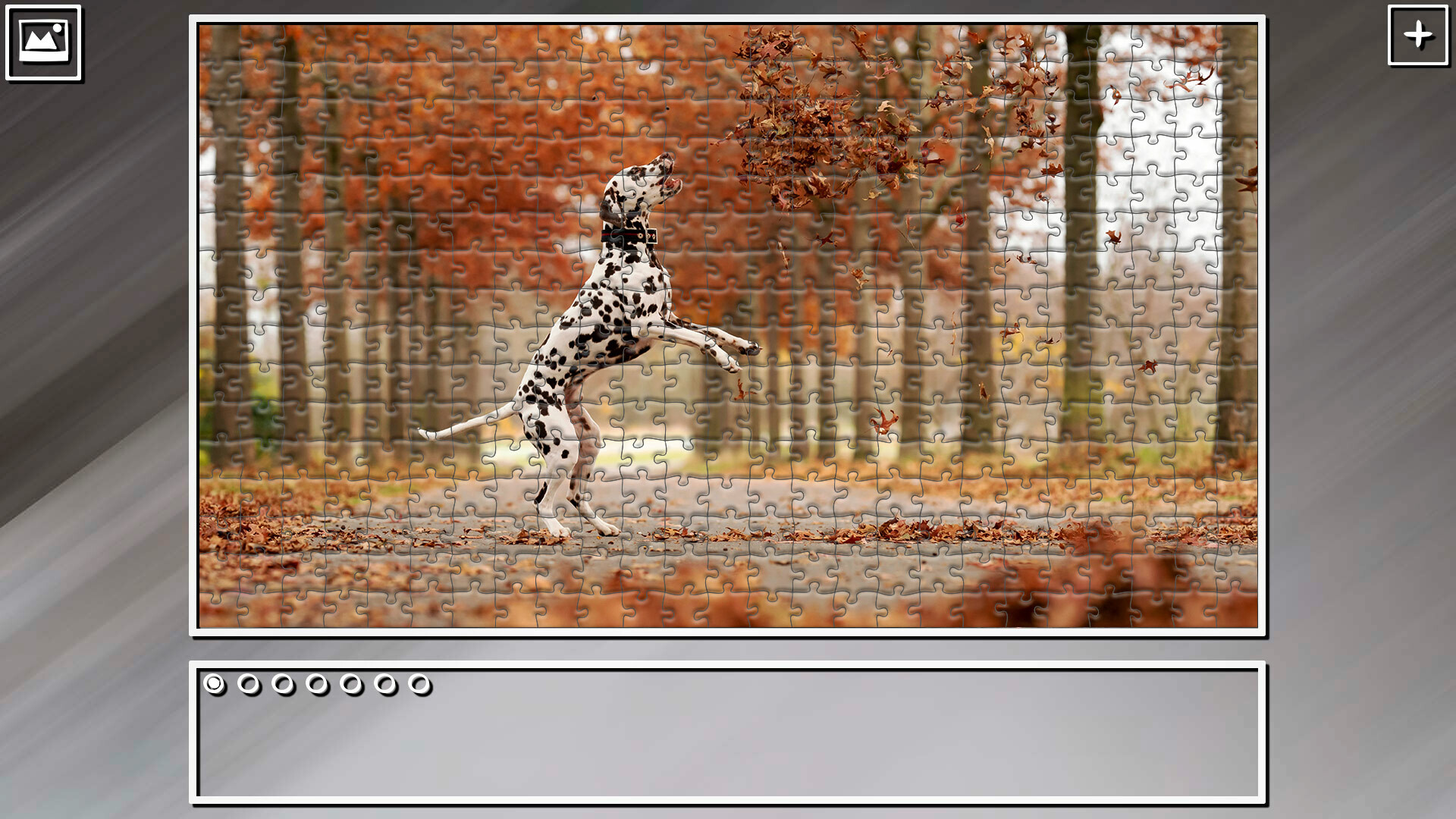 Super Jigsaw Puzzle: Generations – Random Animals 5