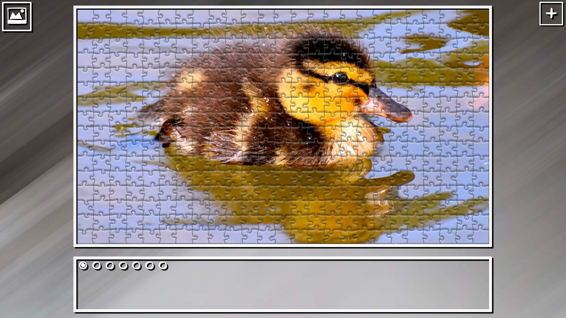 Super Jigsaw Puzzle: Generations – Random Animals 5