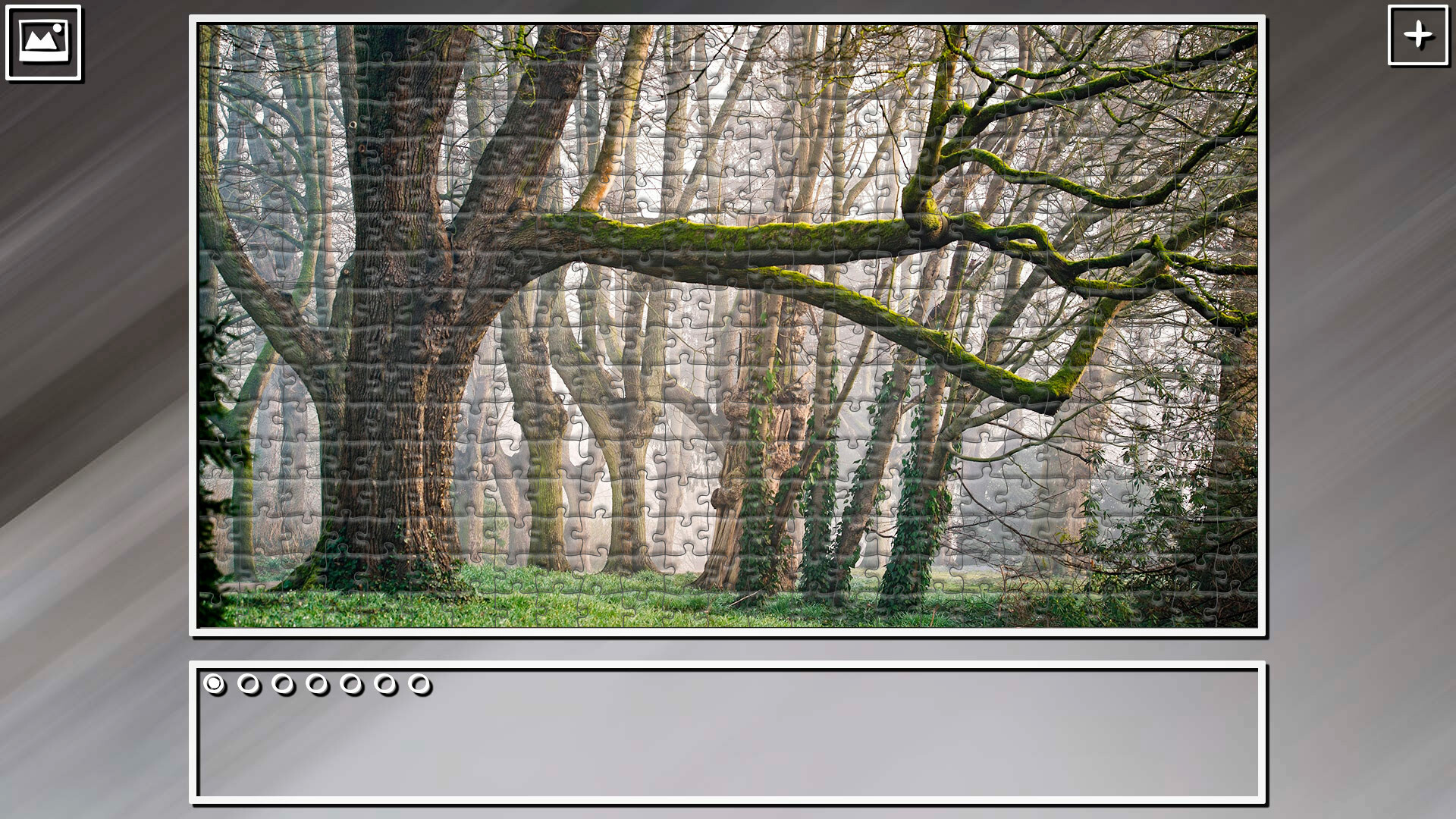 Super Jigsaw Puzzle: Generations – Forests