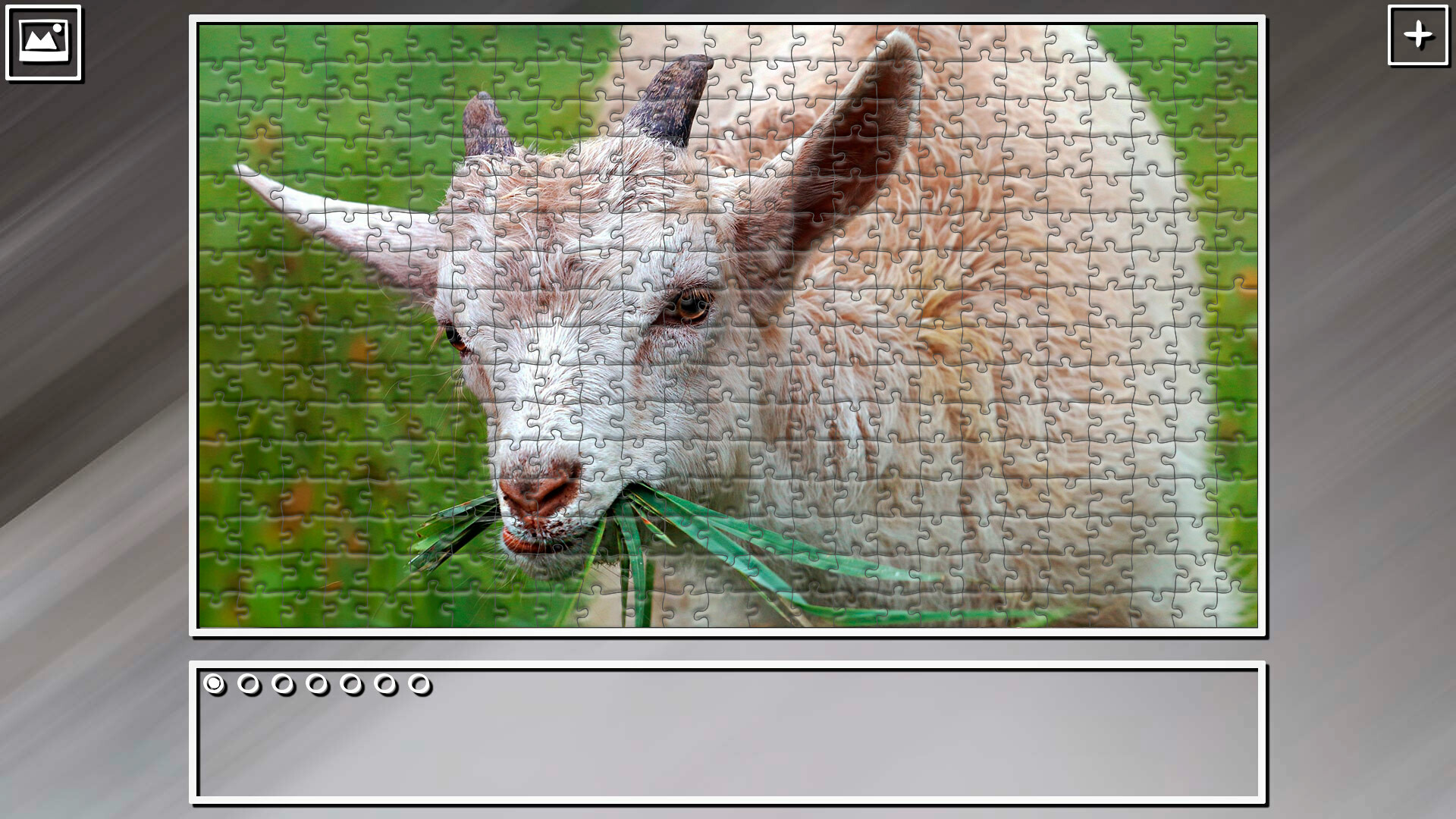 Super Jigsaw Puzzle: Generations – Random Animals 5