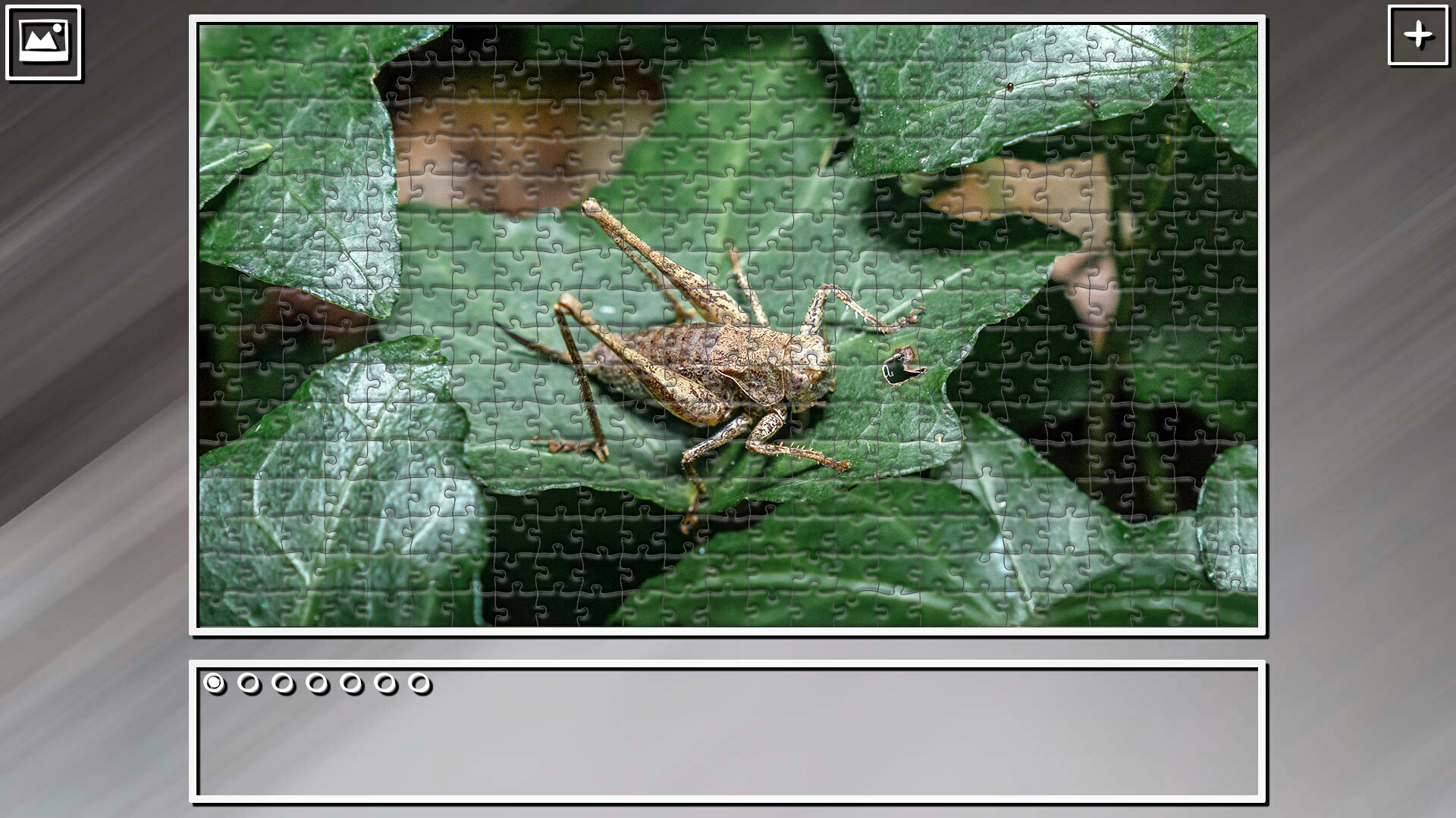 Super Jigsaw Puzzle: Generations – Random Animals 5