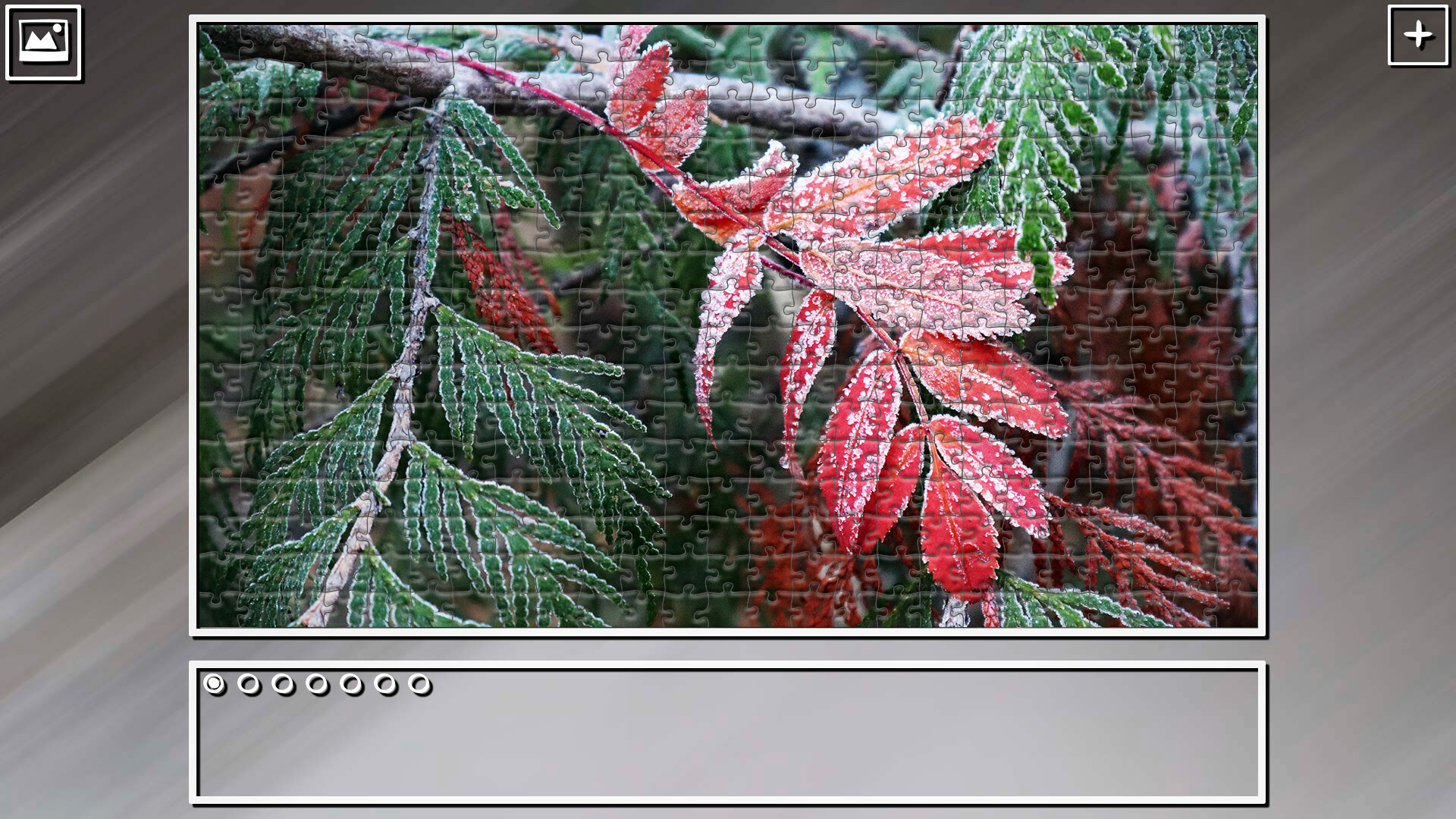 Super Jigsaw Puzzle: Generations – Forests