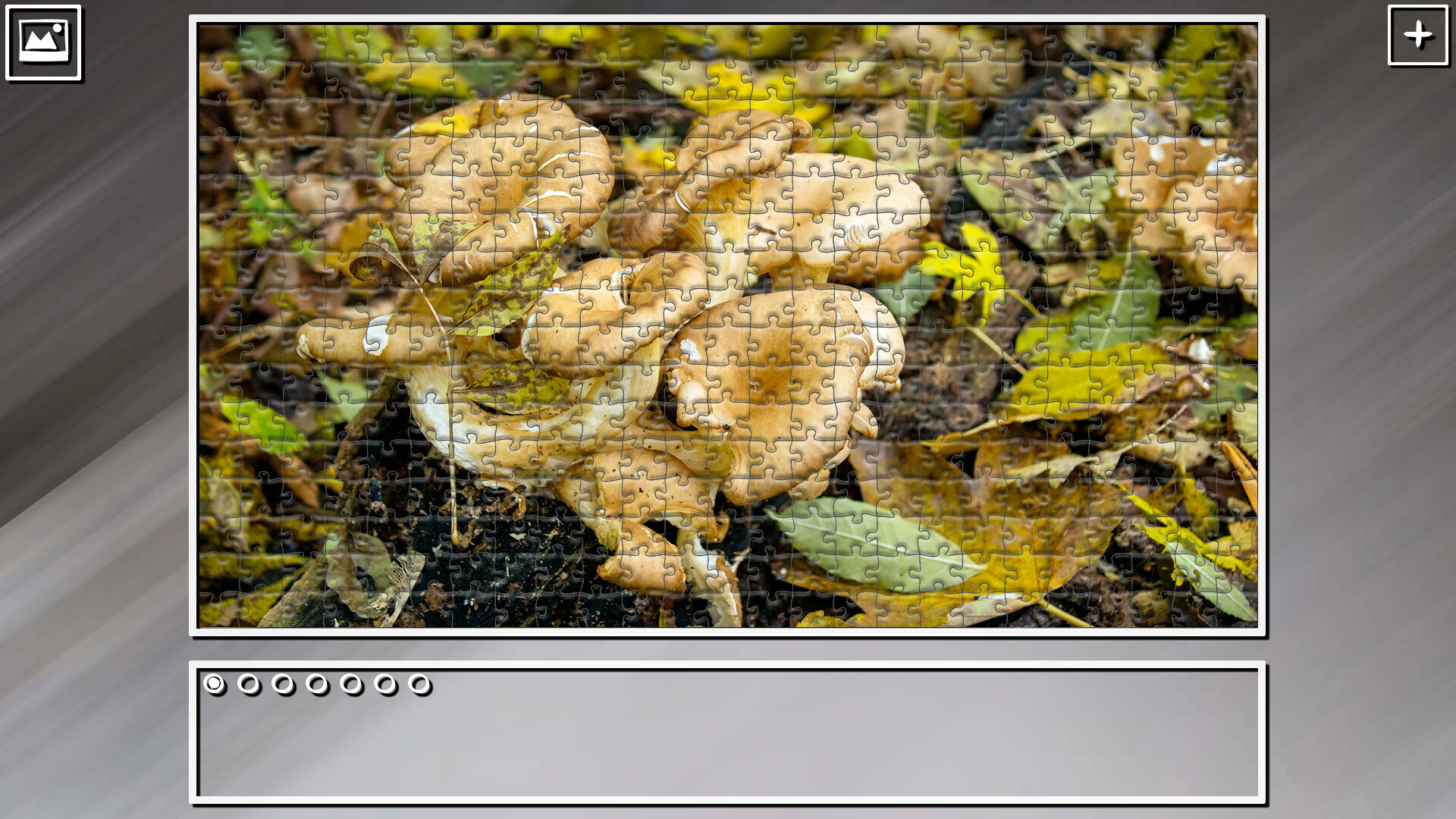 Super Jigsaw Puzzle: Generations – Forests