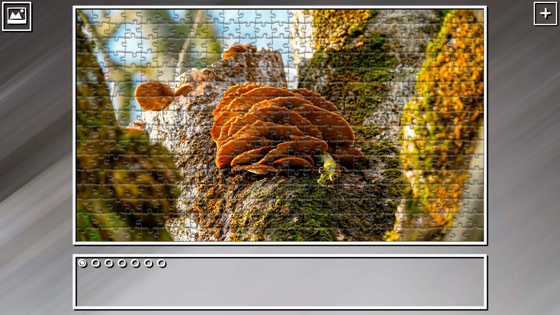 Super Jigsaw Puzzle: Generations – Forests