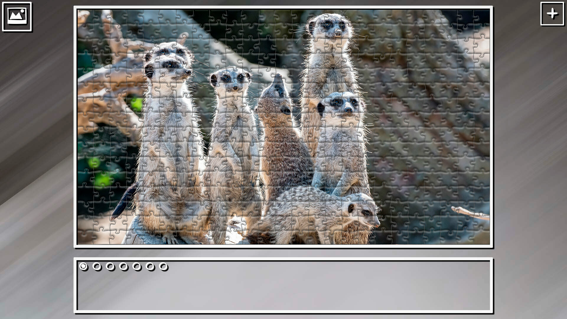 Super Jigsaw Puzzle: Generations – Random Animals 5