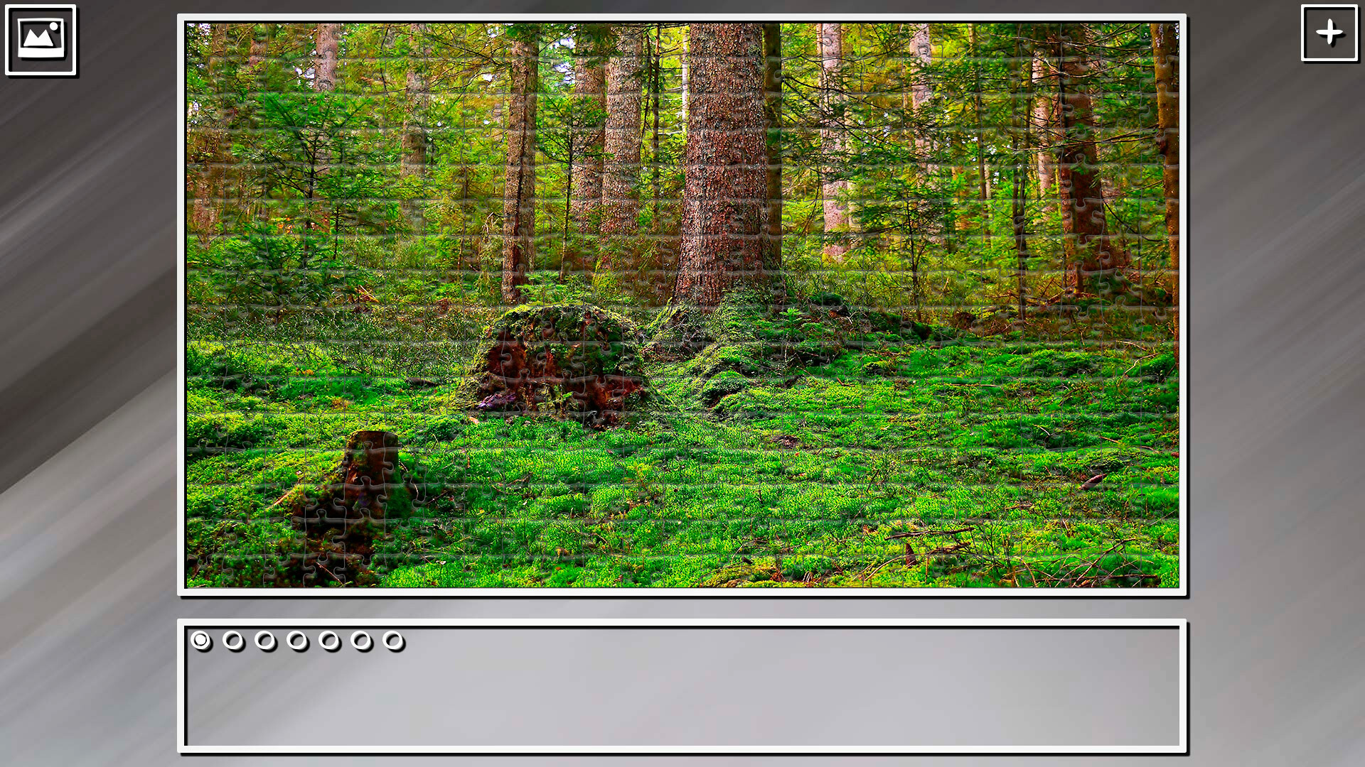 Super Jigsaw Puzzle: Generations – Forests