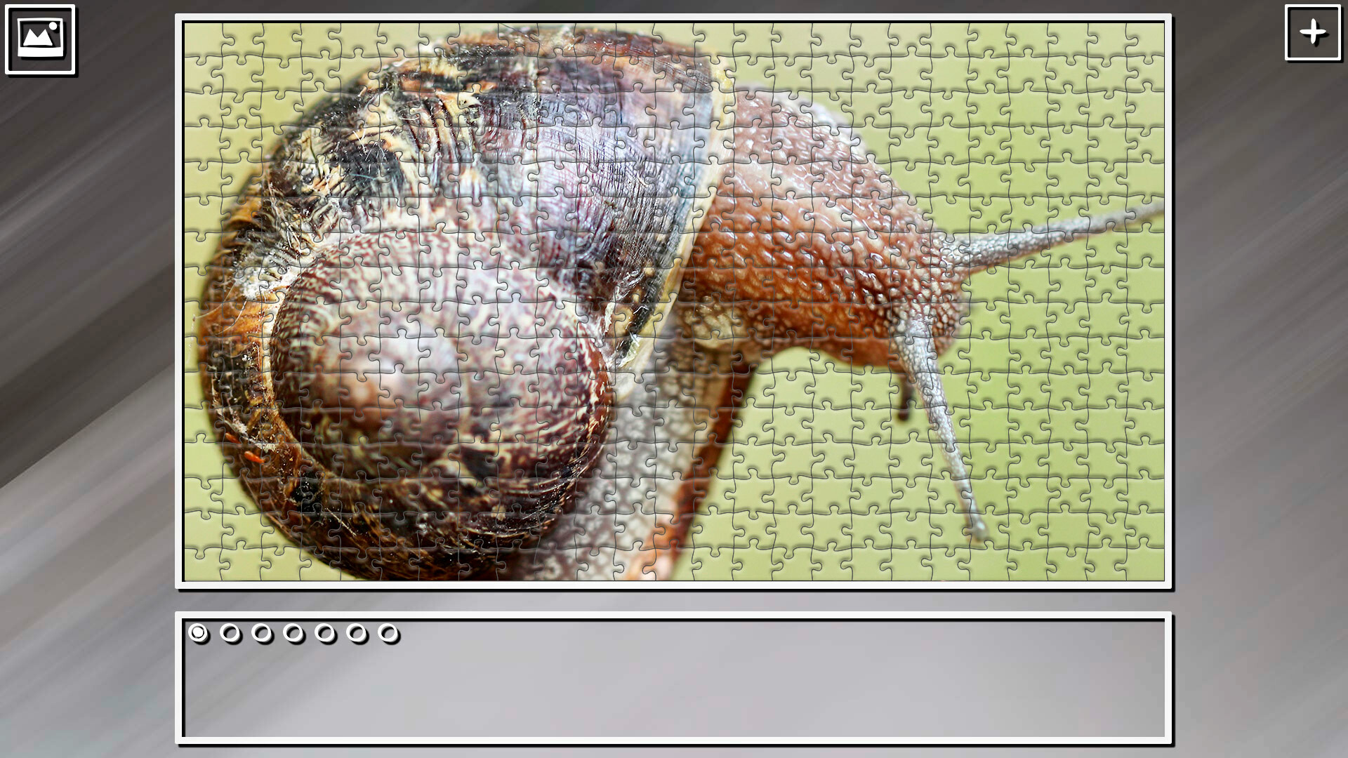 Super Jigsaw Puzzle: Generations – Random Animals 5