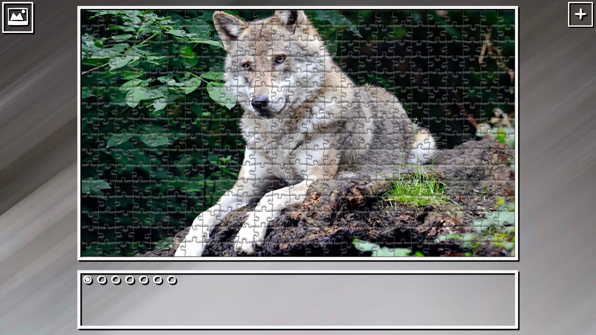 Super Jigsaw Puzzle: Generations – Random Animals 5