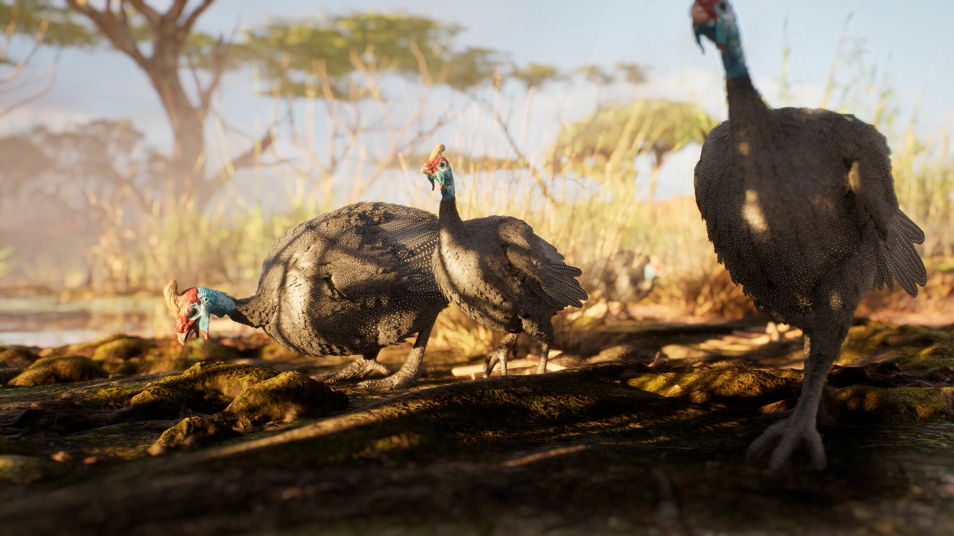 Ultimate Hunting
