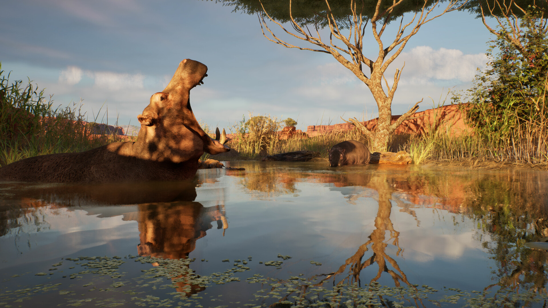 Ultimate Hunting