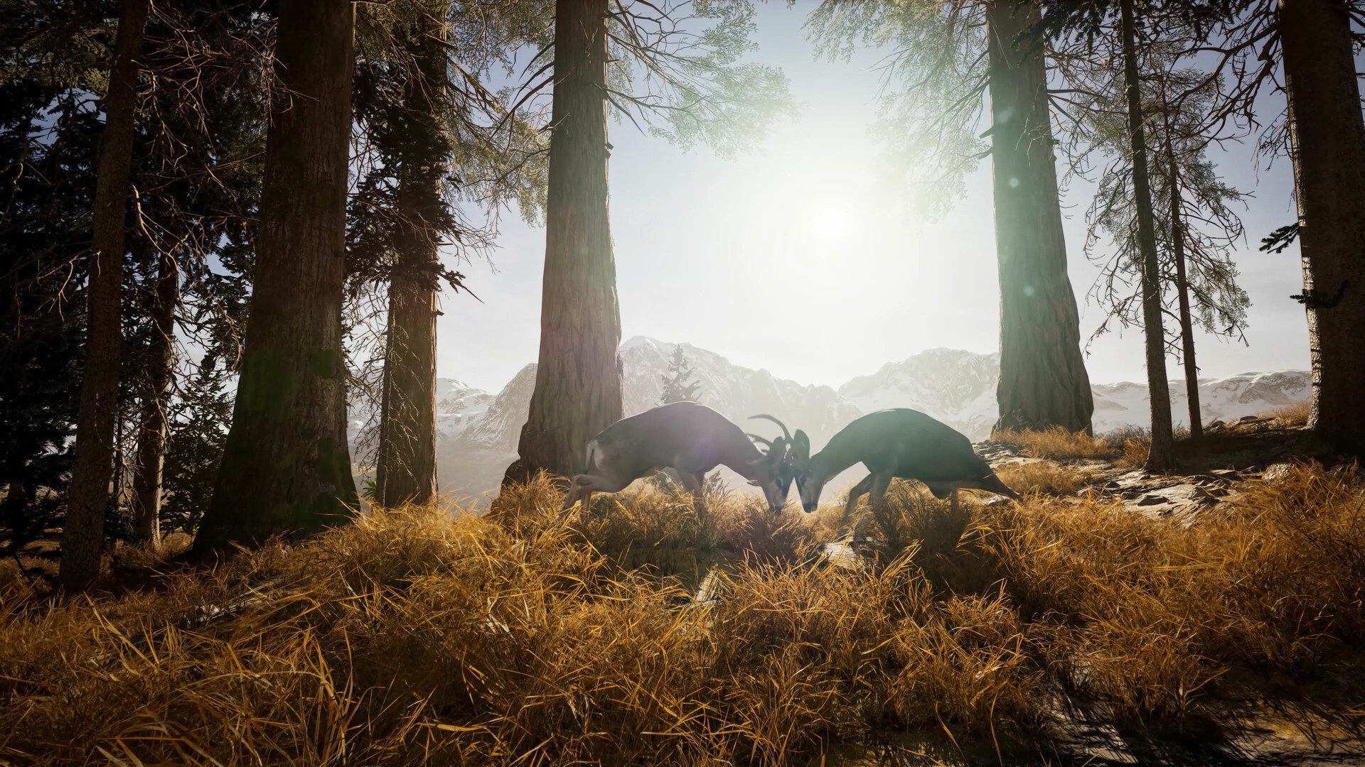 Ultimate Hunting