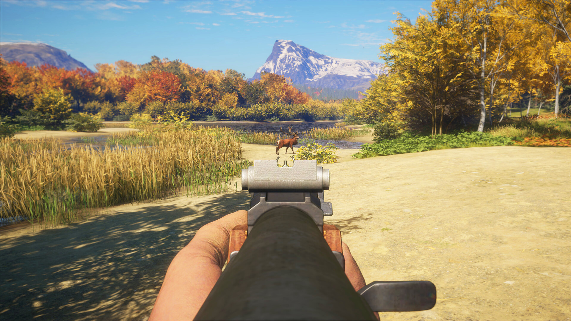 TheHunter: Call of the Wild – Rapid Hunt Rifle Pack