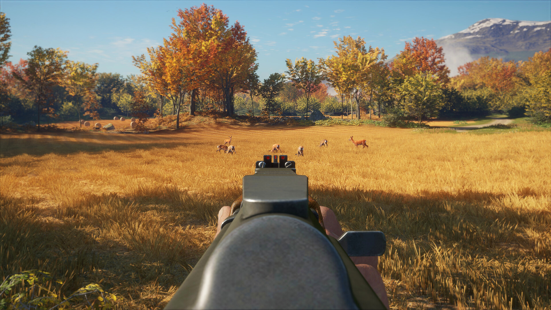 TheHunter: Call of the Wild – Rapid Hunt Rifle Pack