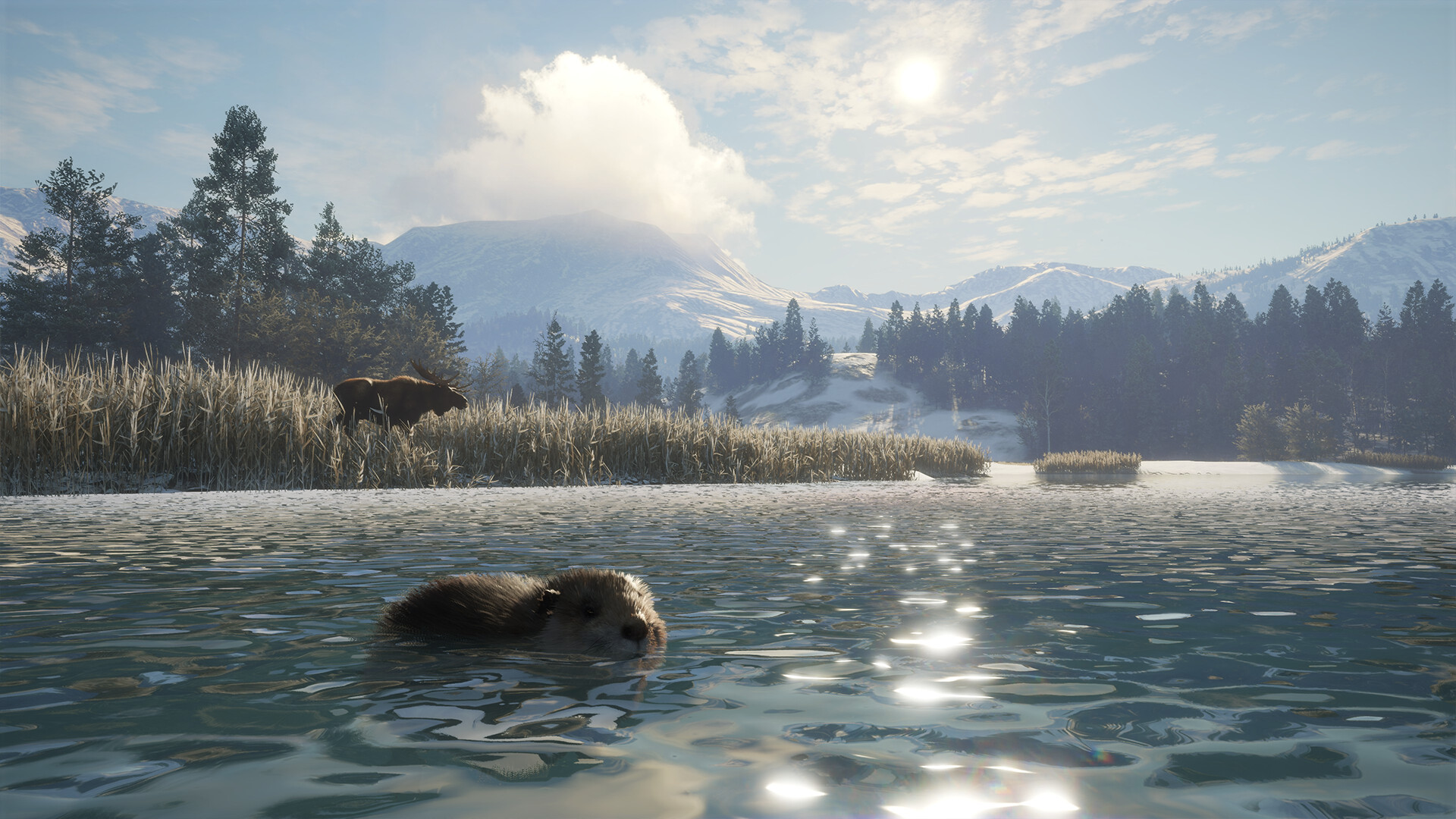 TheHunter: Call of the Wild – Alberta Hunting Preserve