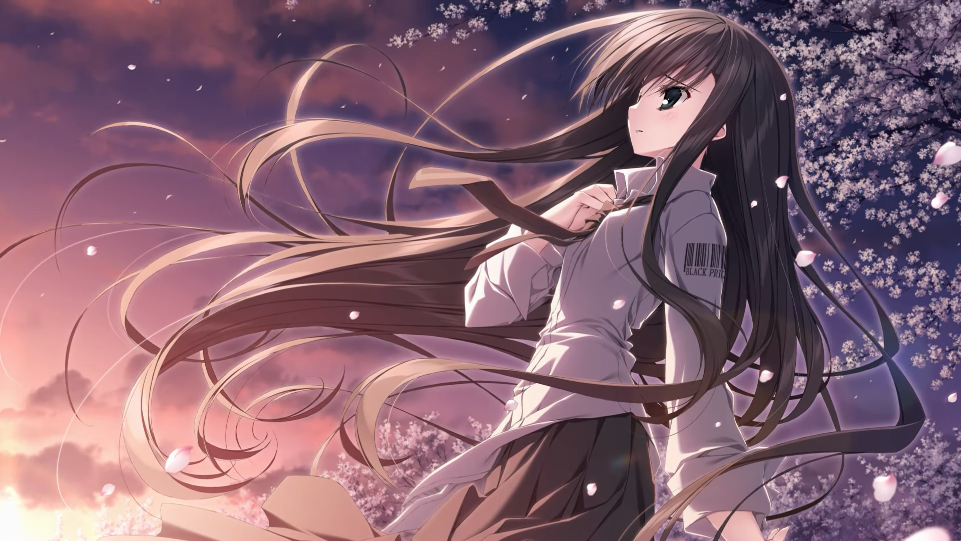 Sakura no Uta Re:Graphic: Sakura no Mori no Ue wo Mau