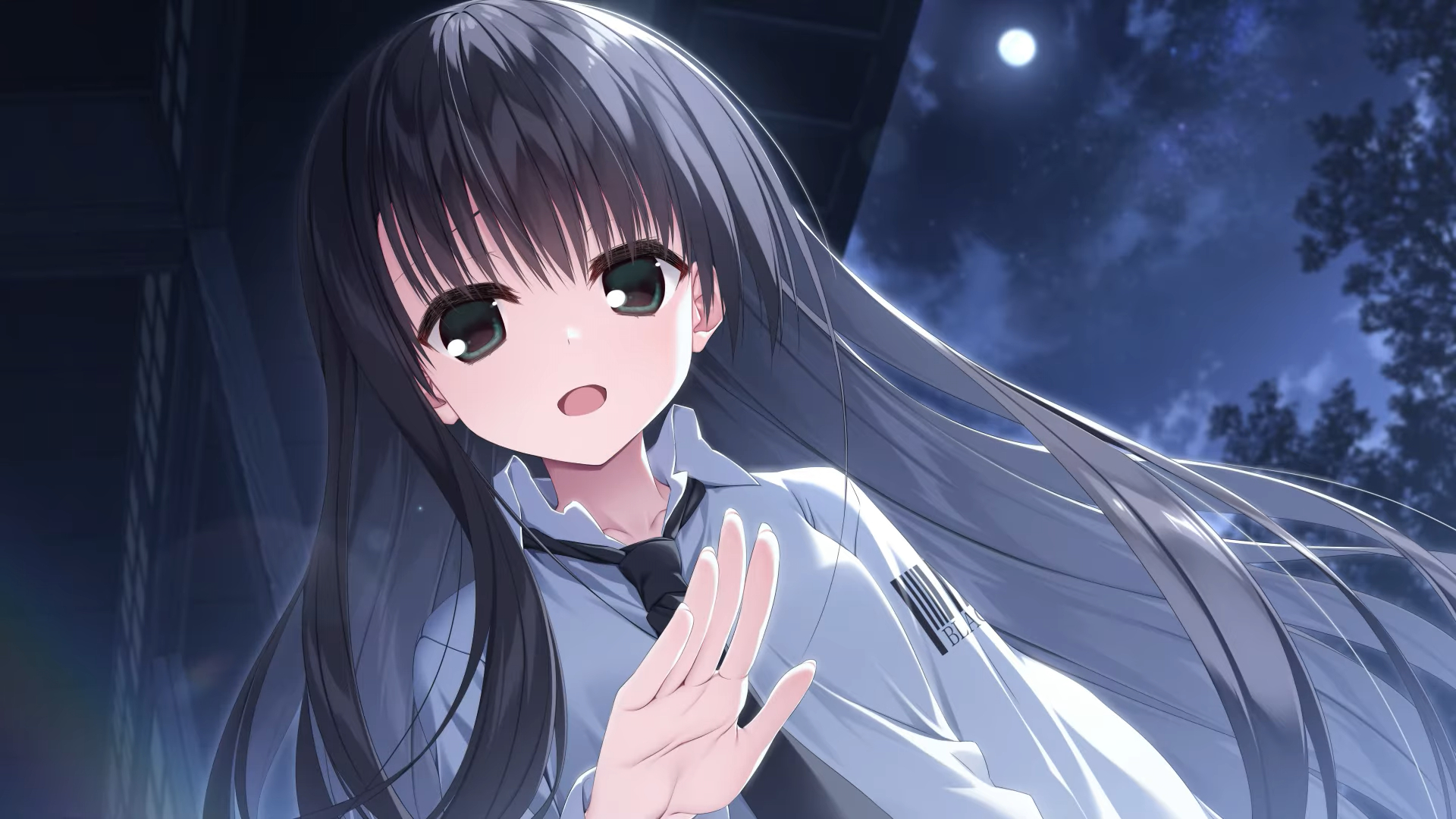 Sakura no Uta Re:Graphic: Sakura no Mori no Ue wo Mau