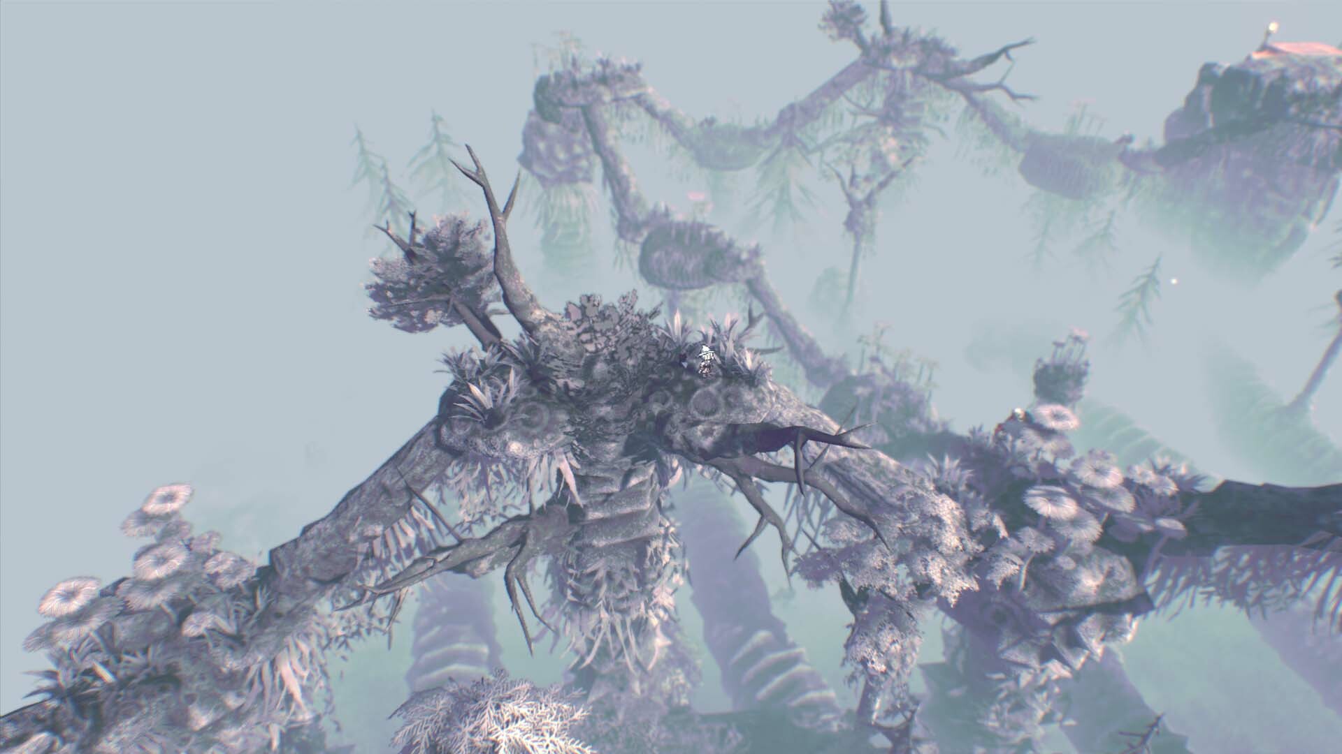 Lost Curse