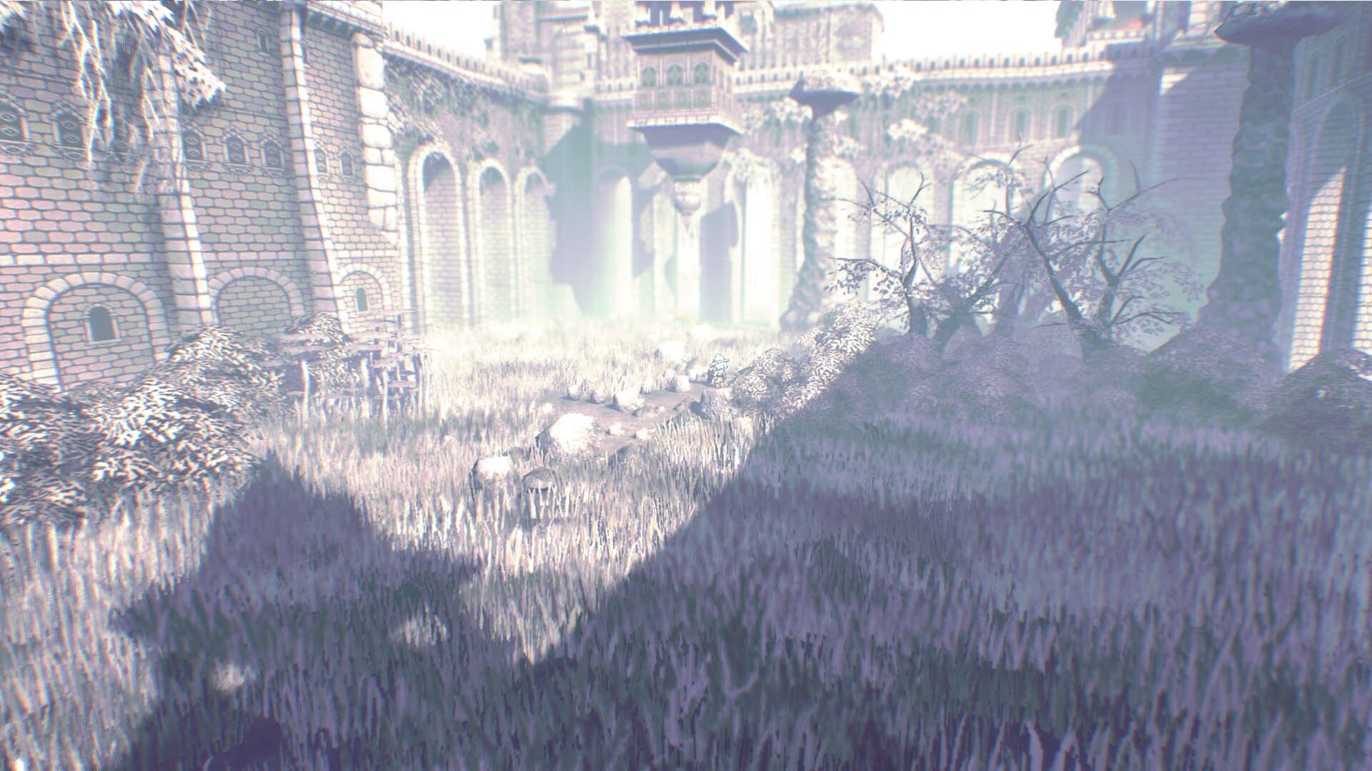 Lost Curse