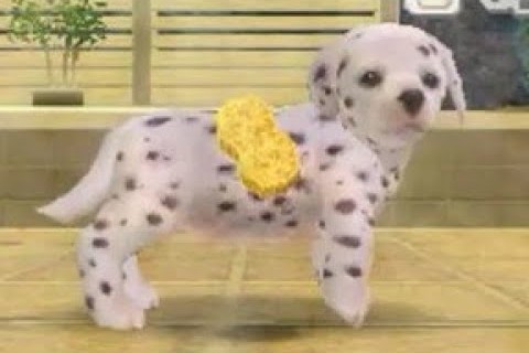 Nintendogs: Dalmatian &amp; Friends