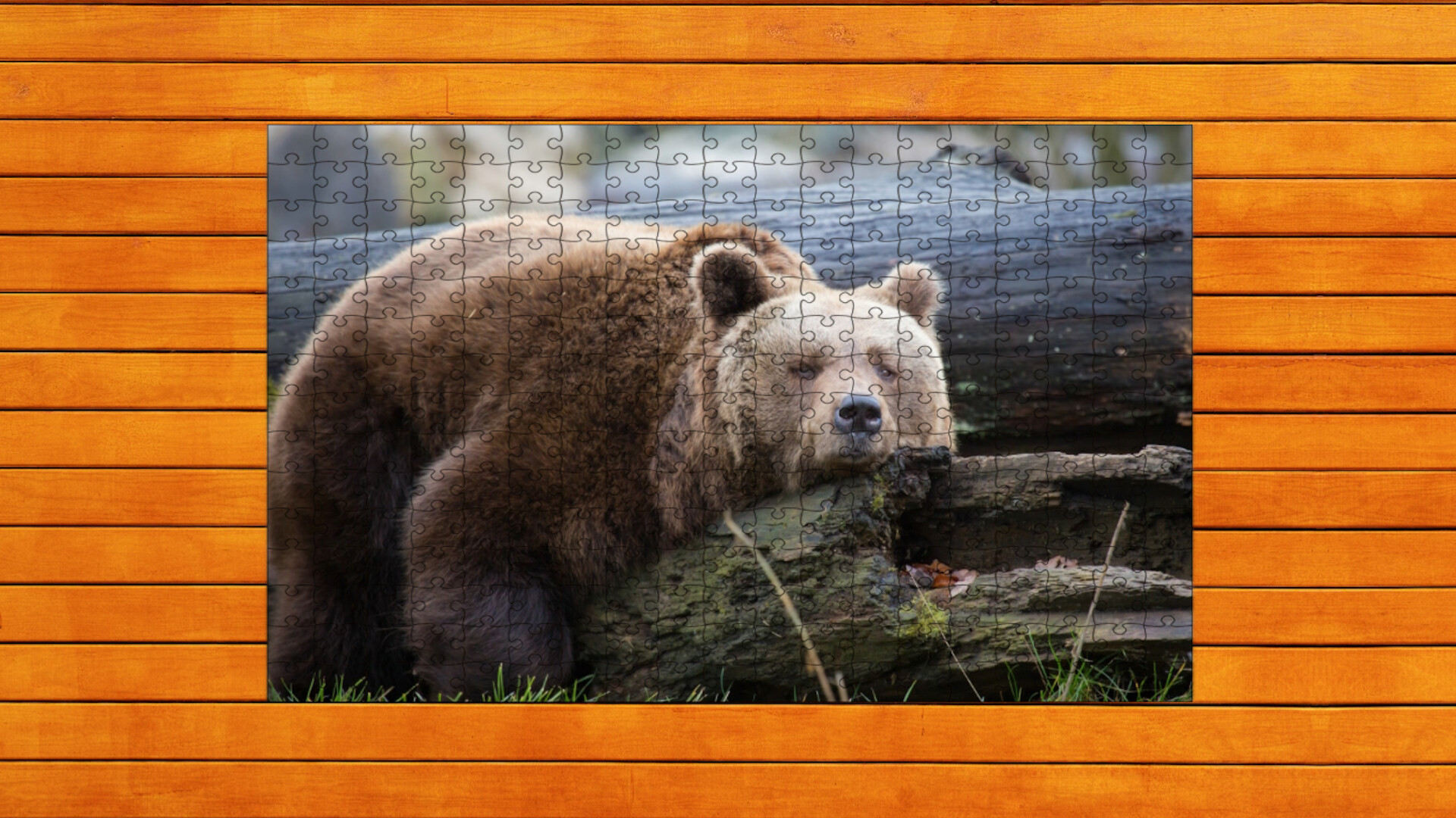 Bear vs. Wolf Jigsaw Puzzle: Expansion Pack 1