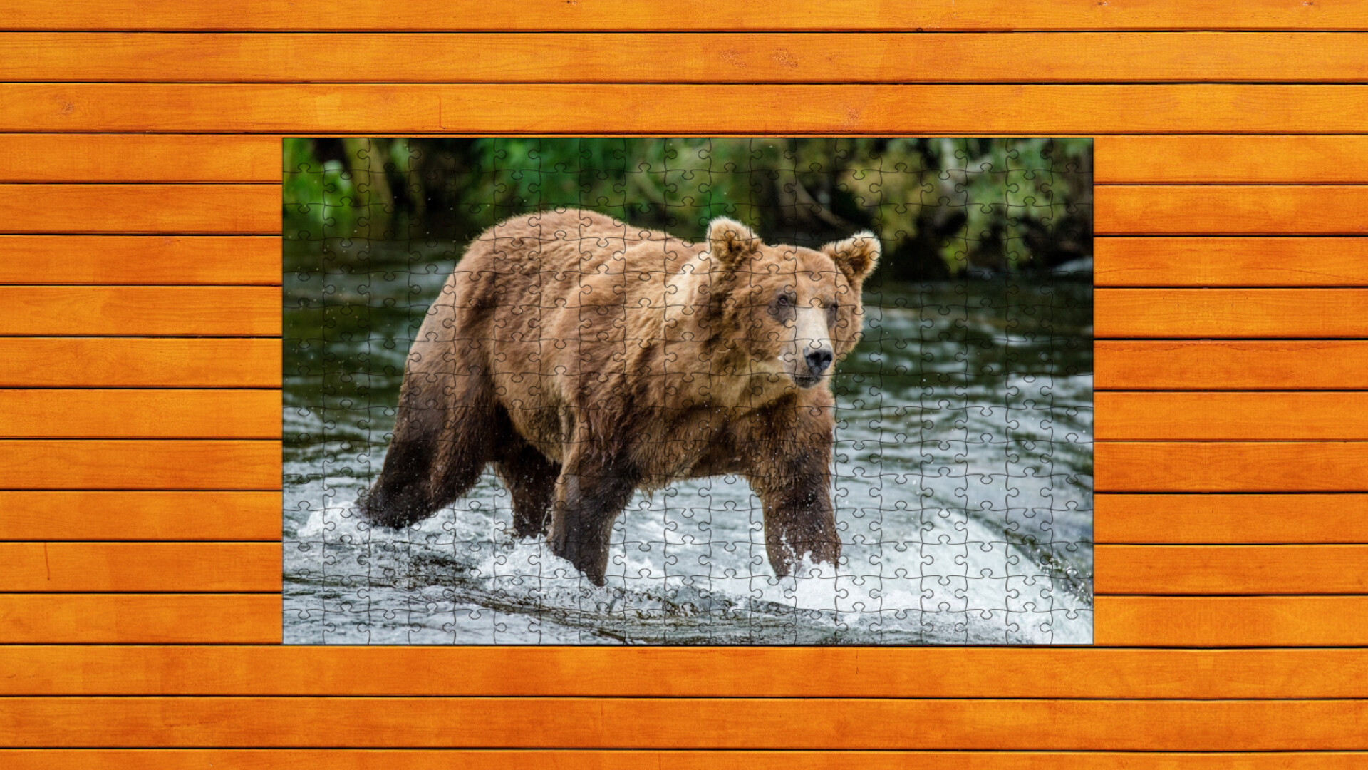 Bear vs. Wolf Jigsaw Puzzle: Expansion Pack 3