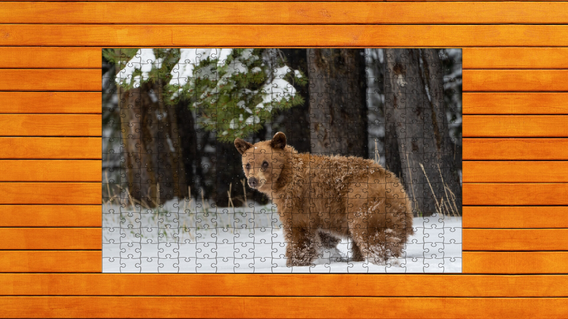 Bear vs. Wolf Jigsaw Puzzle: Expansion Pack 5