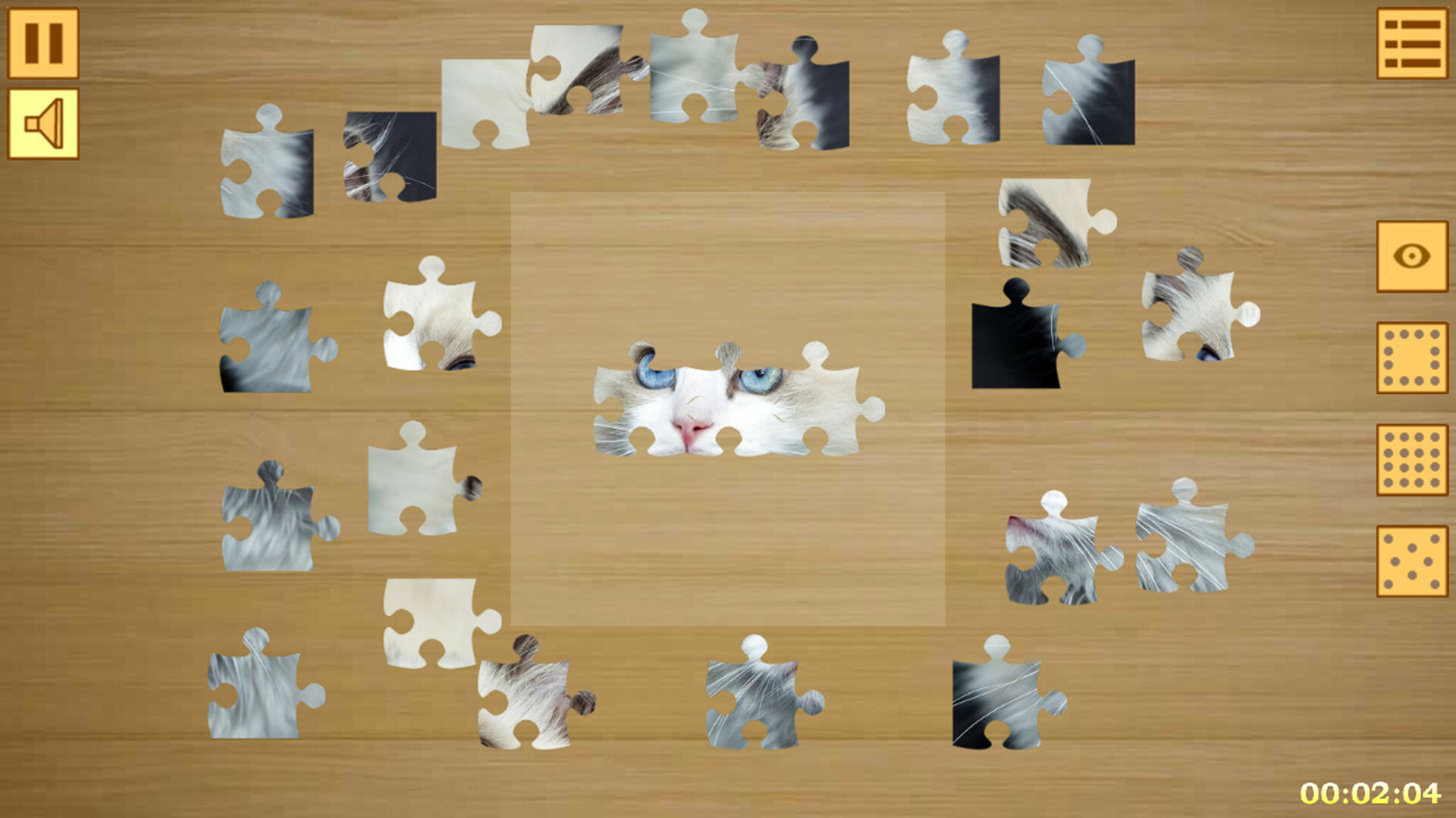 Jigsaw Puzzles