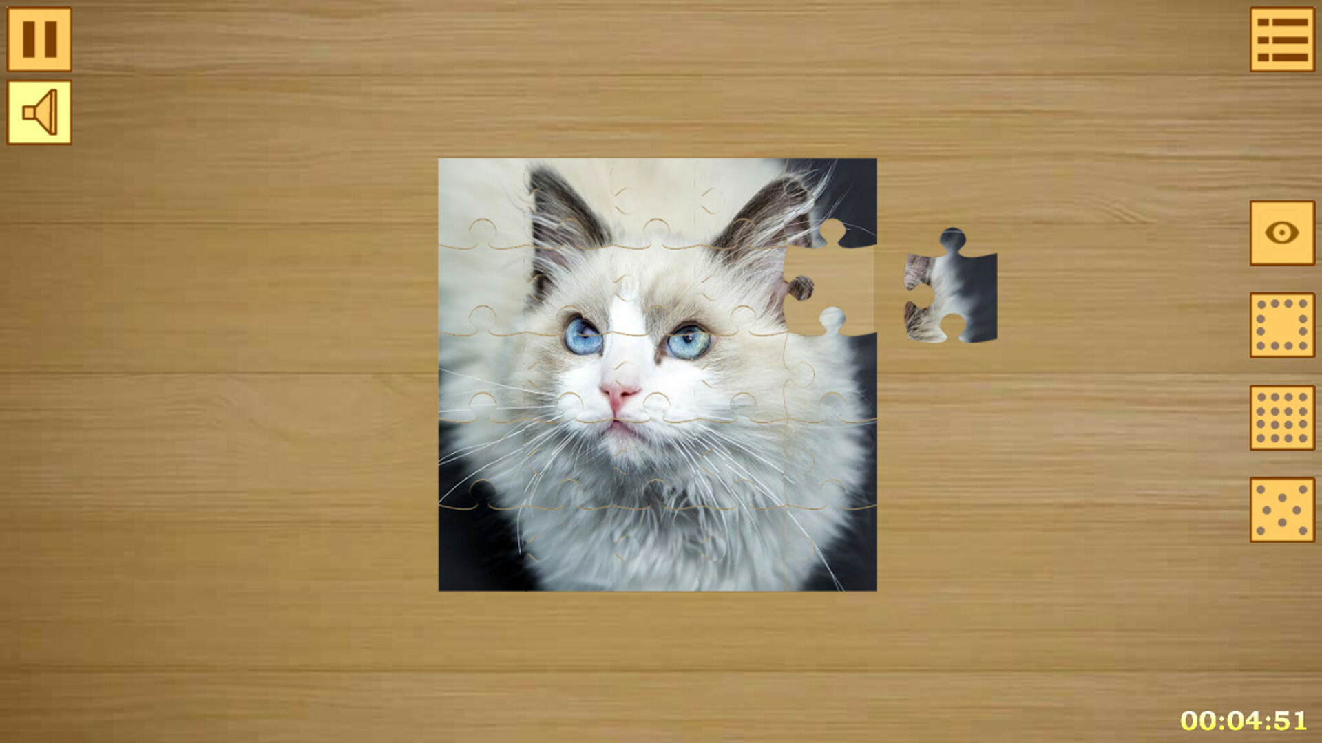 Jigsaw Puzzles