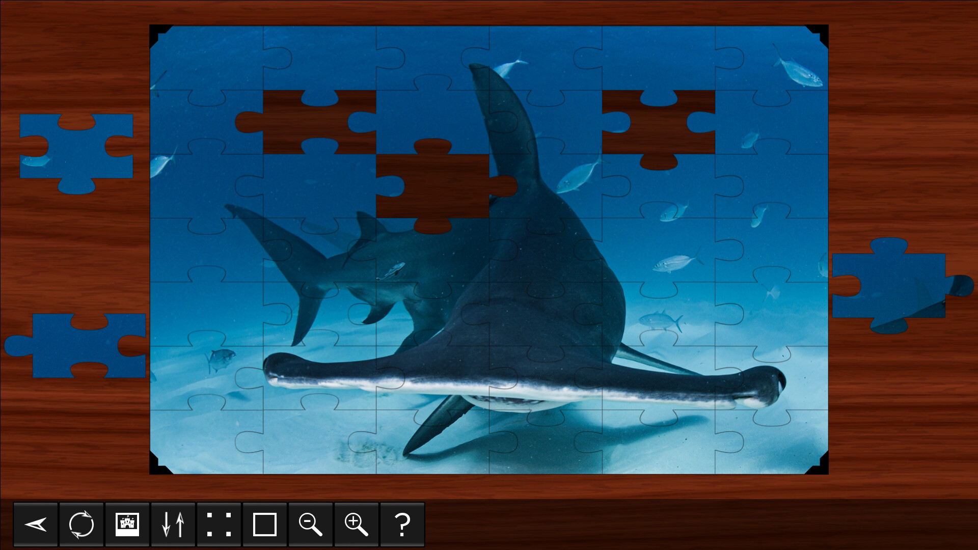 Jigsaw Puzzle World: Sharks