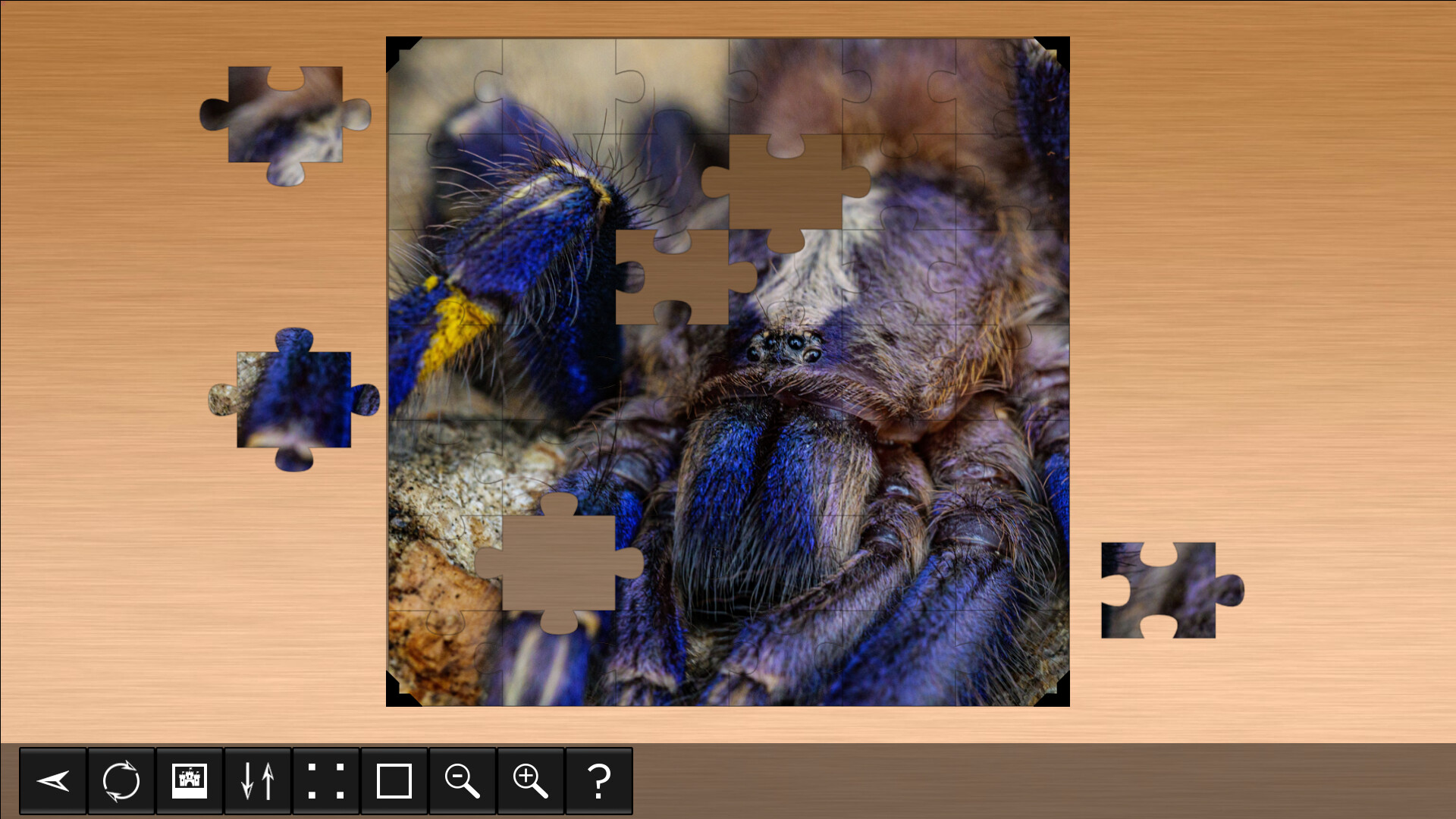 Jigsaw Puzzle World: Arachnids