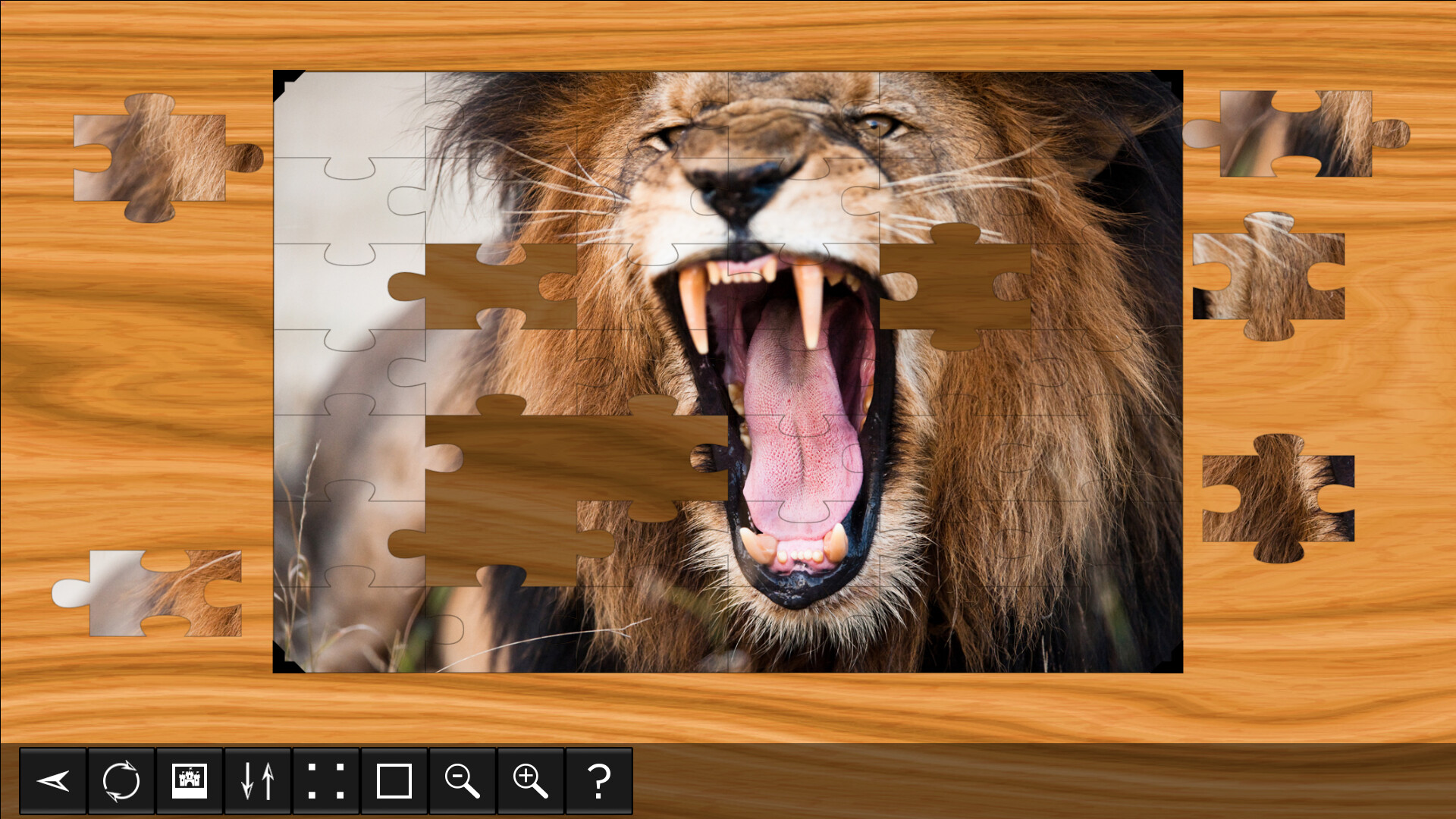 Jigsaw Puzzle World: Lions &amp; Tigers