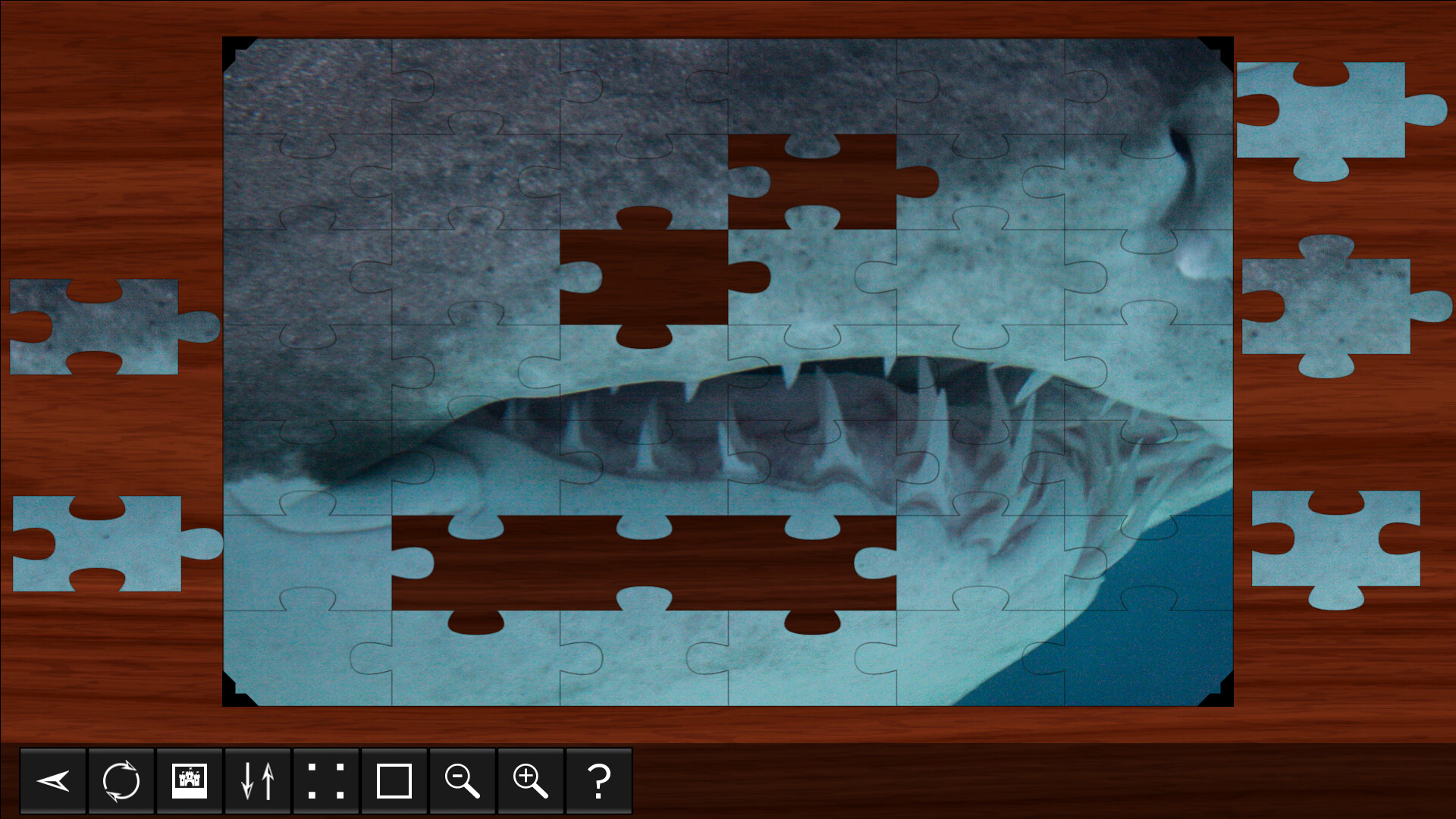 Jigsaw Puzzle World: Sharks