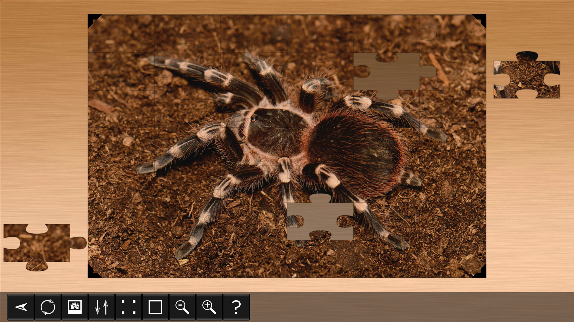 Jigsaw Puzzle World: Arachnids