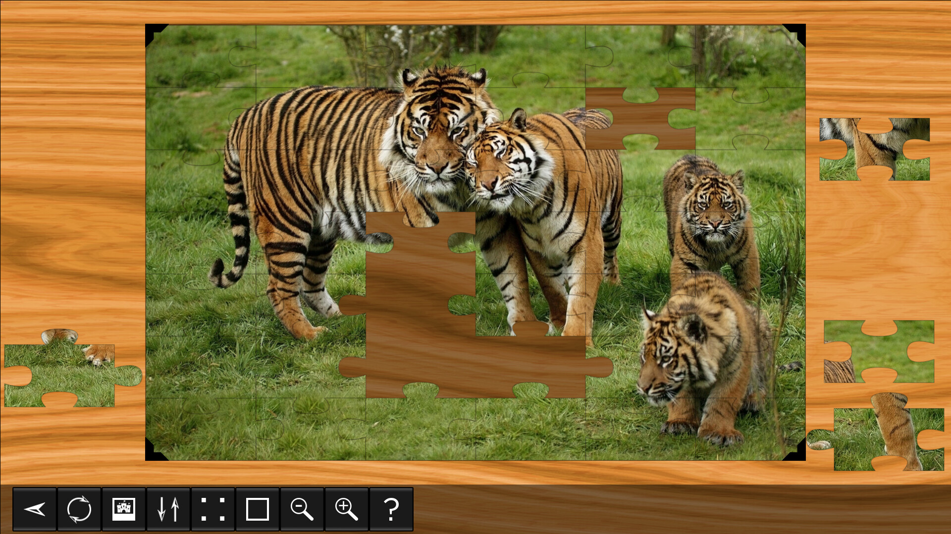 Jigsaw Puzzle World: Lions &amp; Tigers