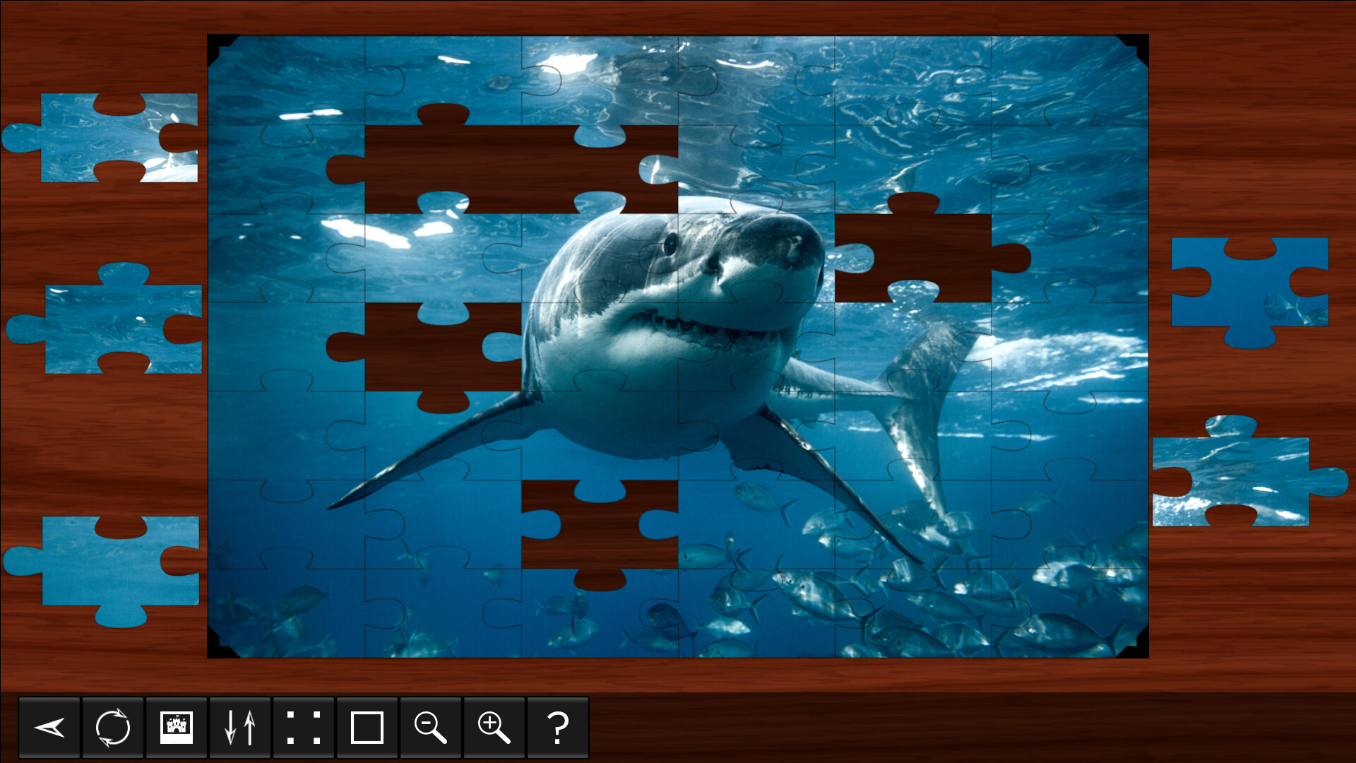 Jigsaw Puzzle World: Sharks