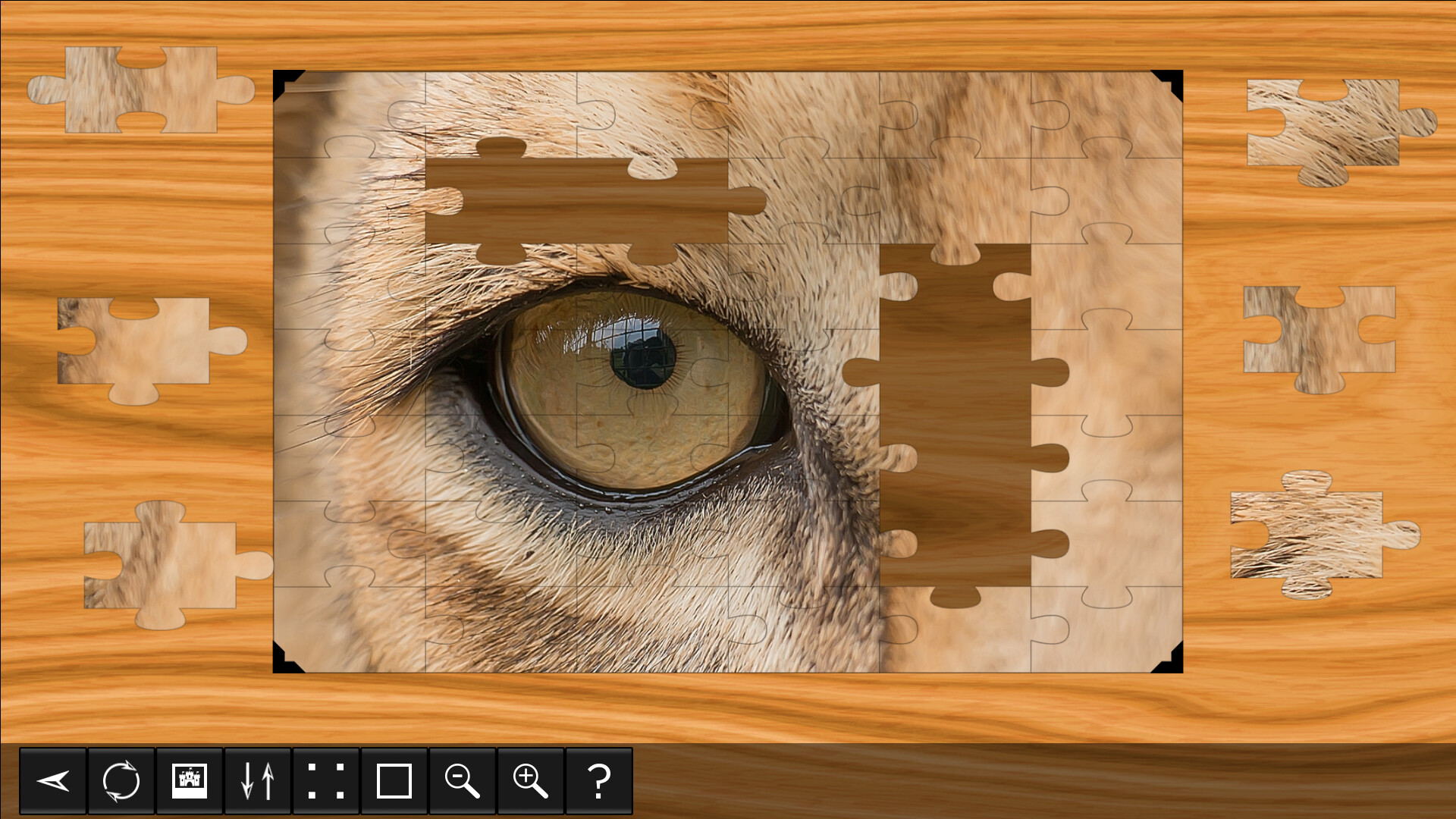 Jigsaw Puzzle World: Lions &amp; Tigers